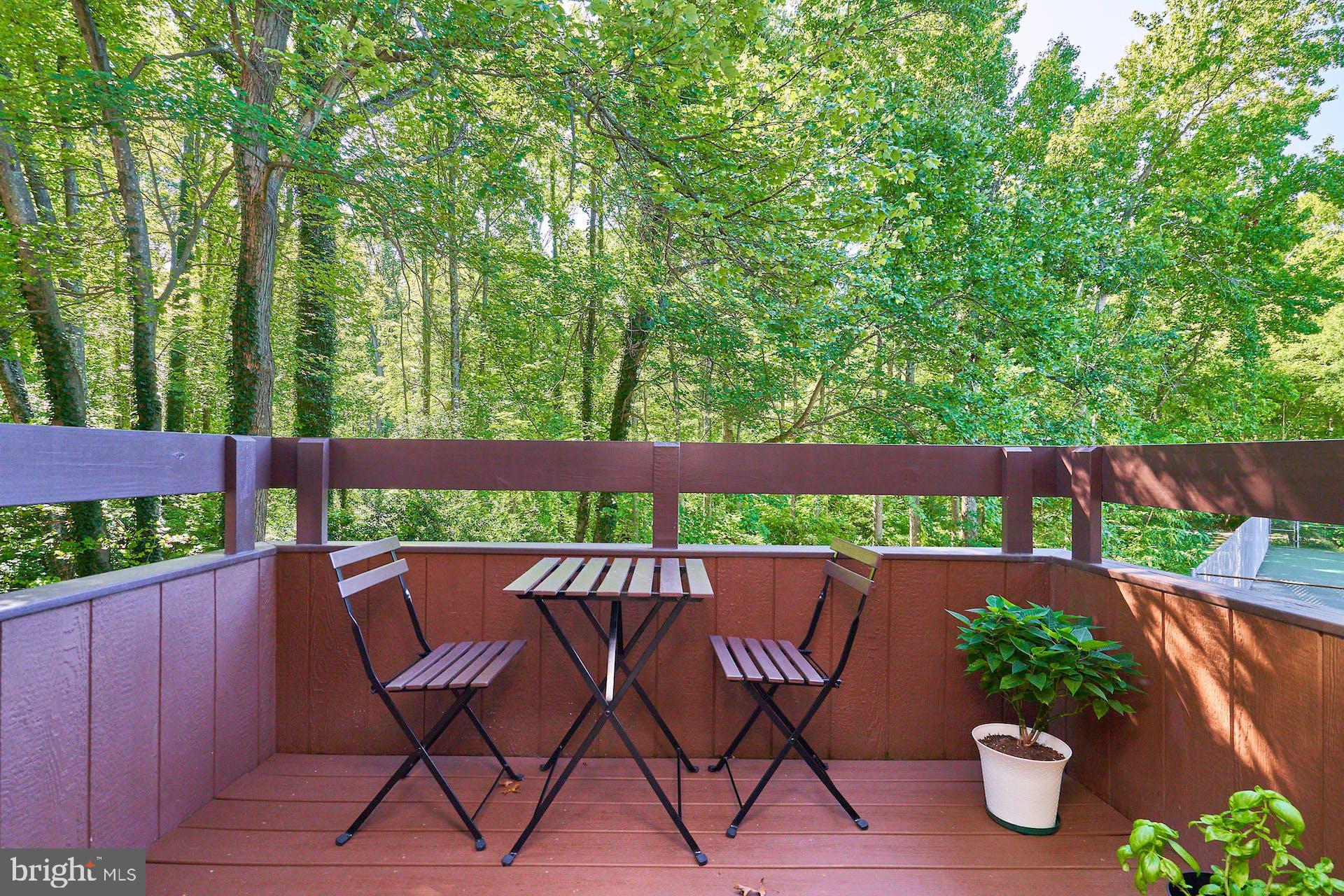 CHESTERFIELD MEWS - Residential