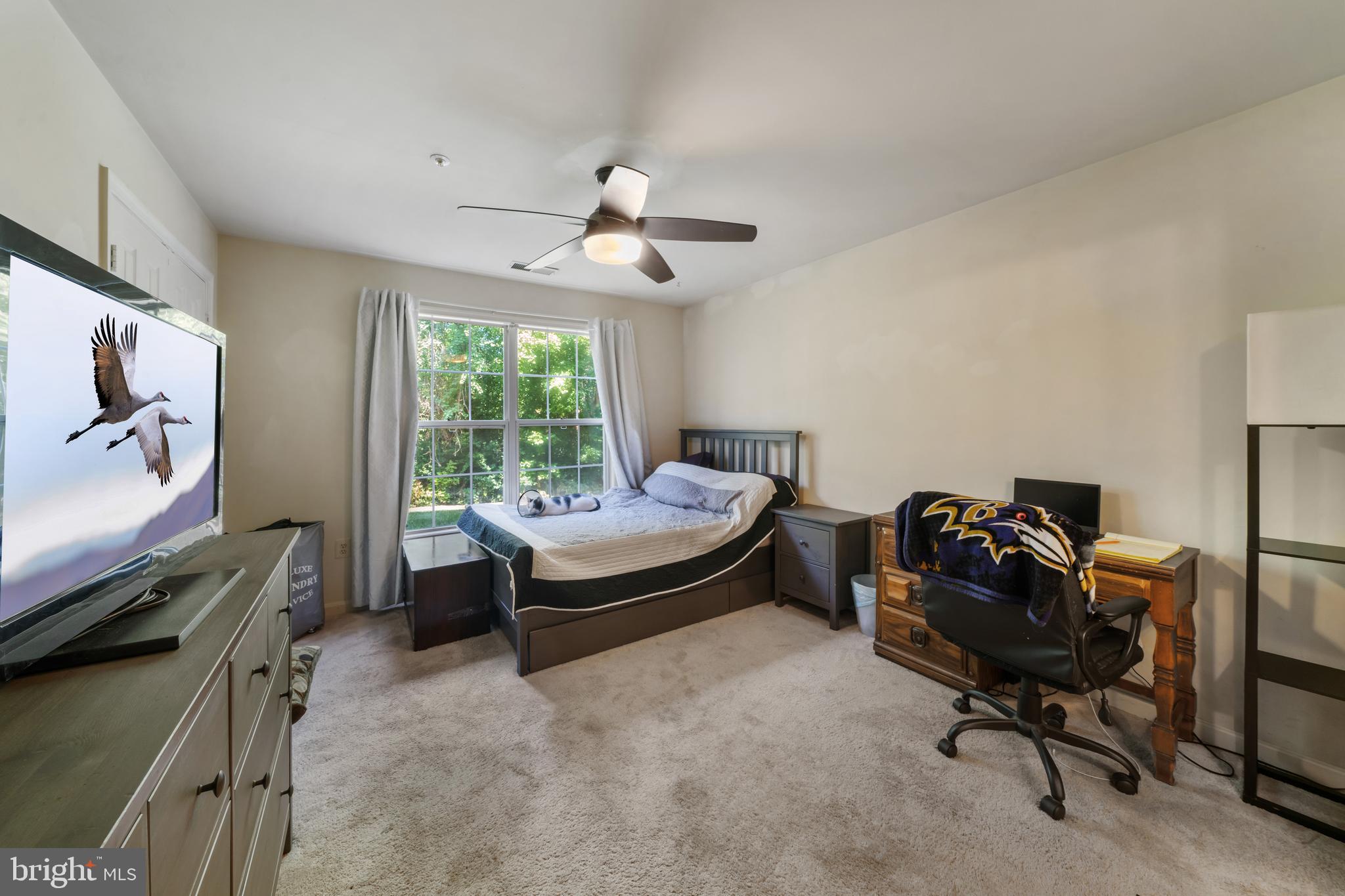 SOUTH SHORE HARBOUR CODM - Residential