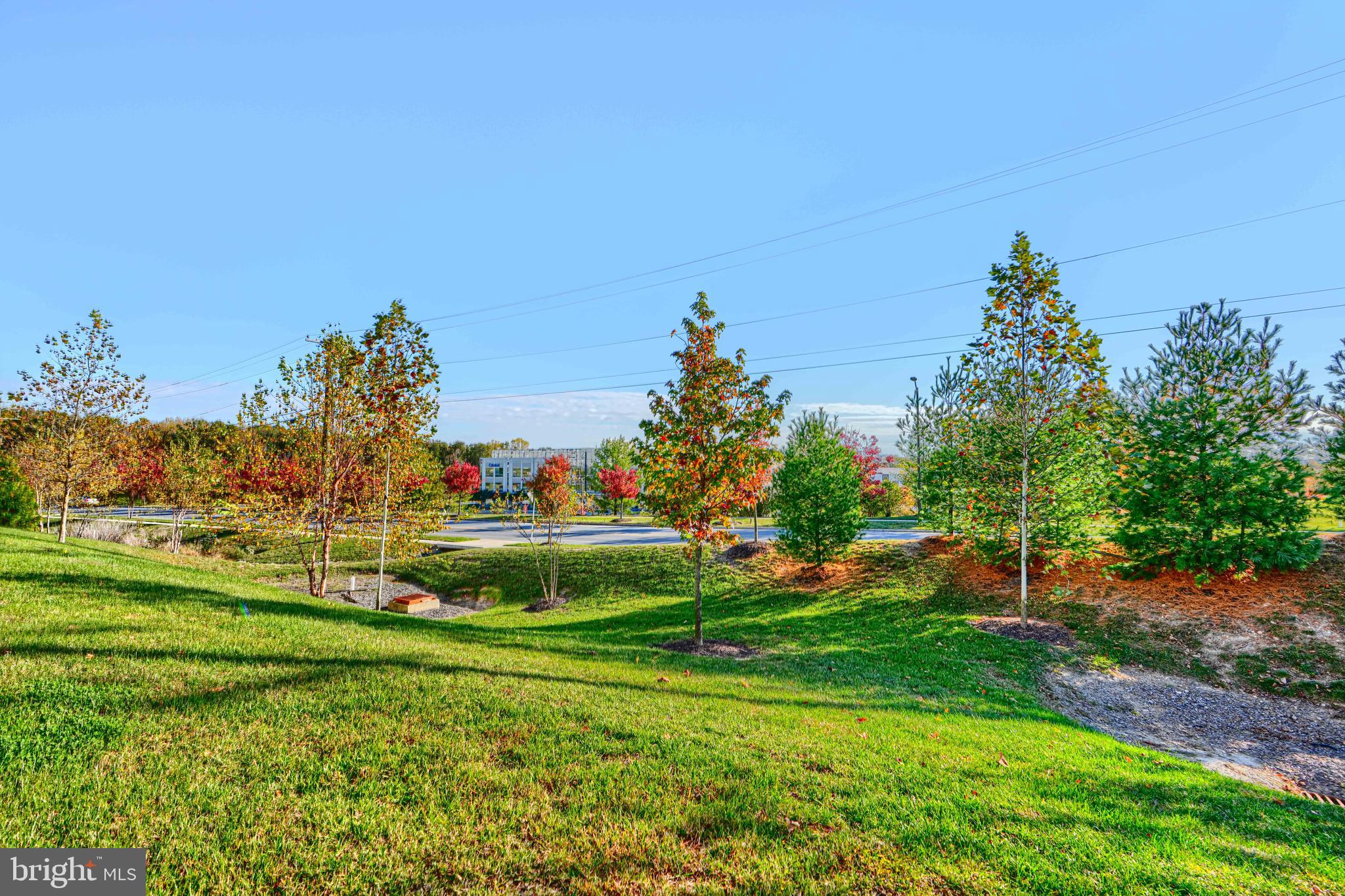 THE RIDGES - Residential