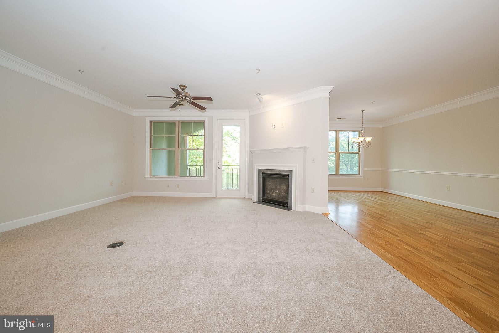 115 CORNERSTONE DRIVE 115