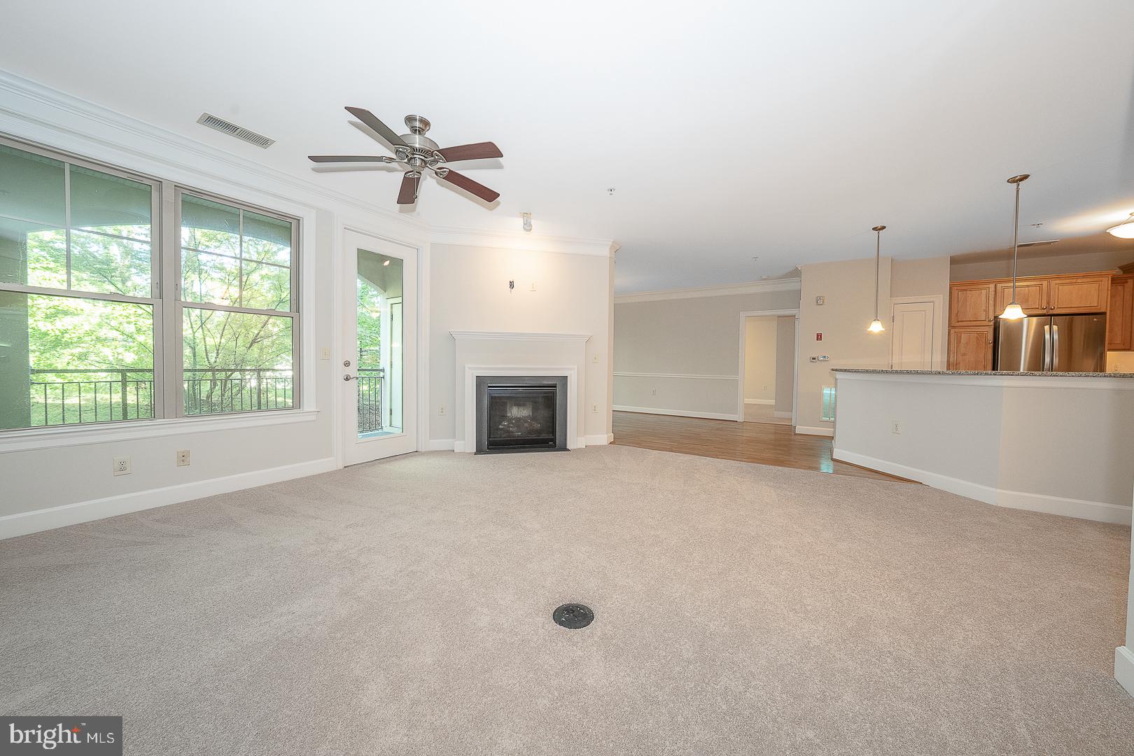 115 CORNERSTONE DRIVE 115