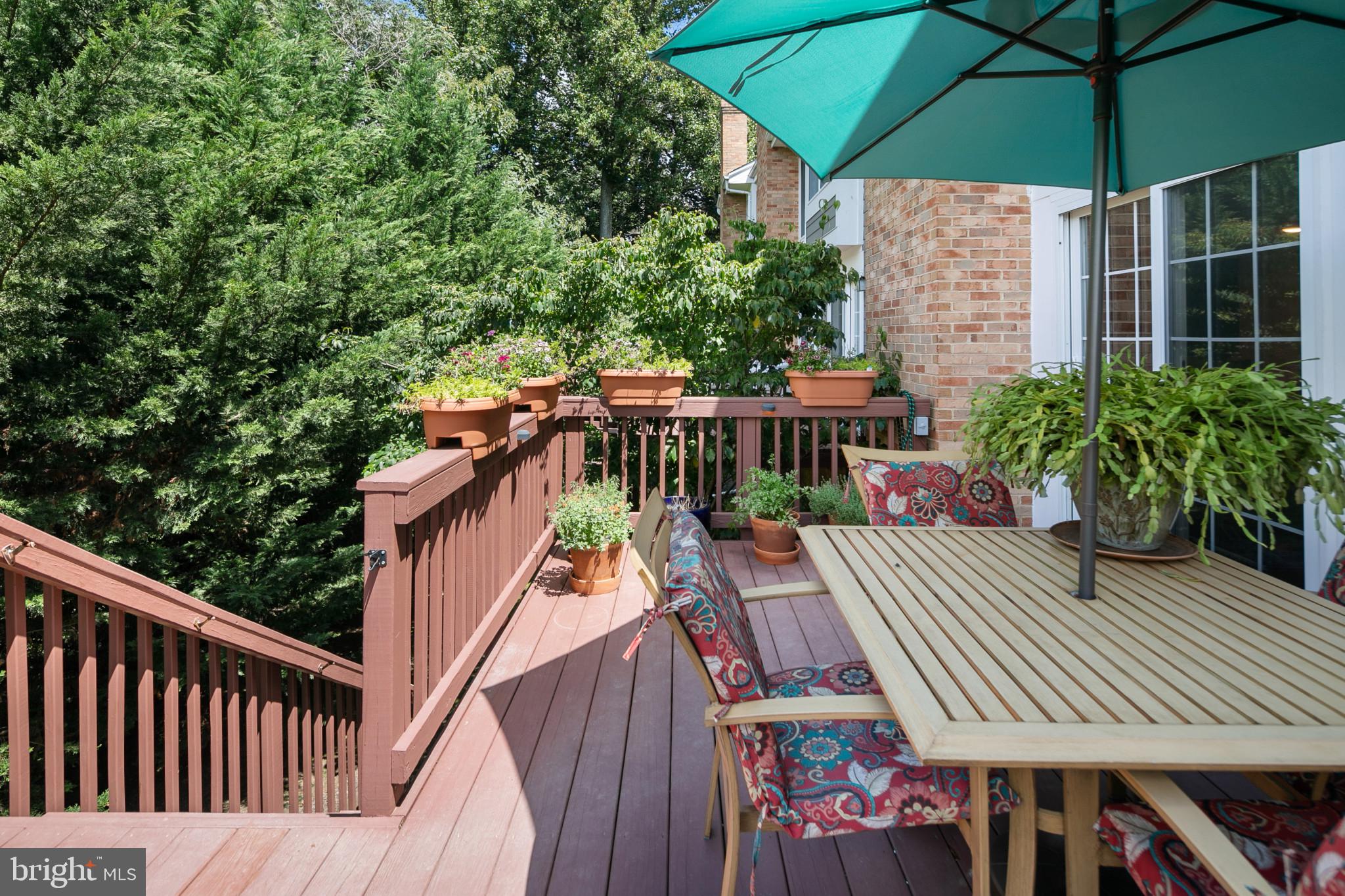 GREENE TREE - Residential