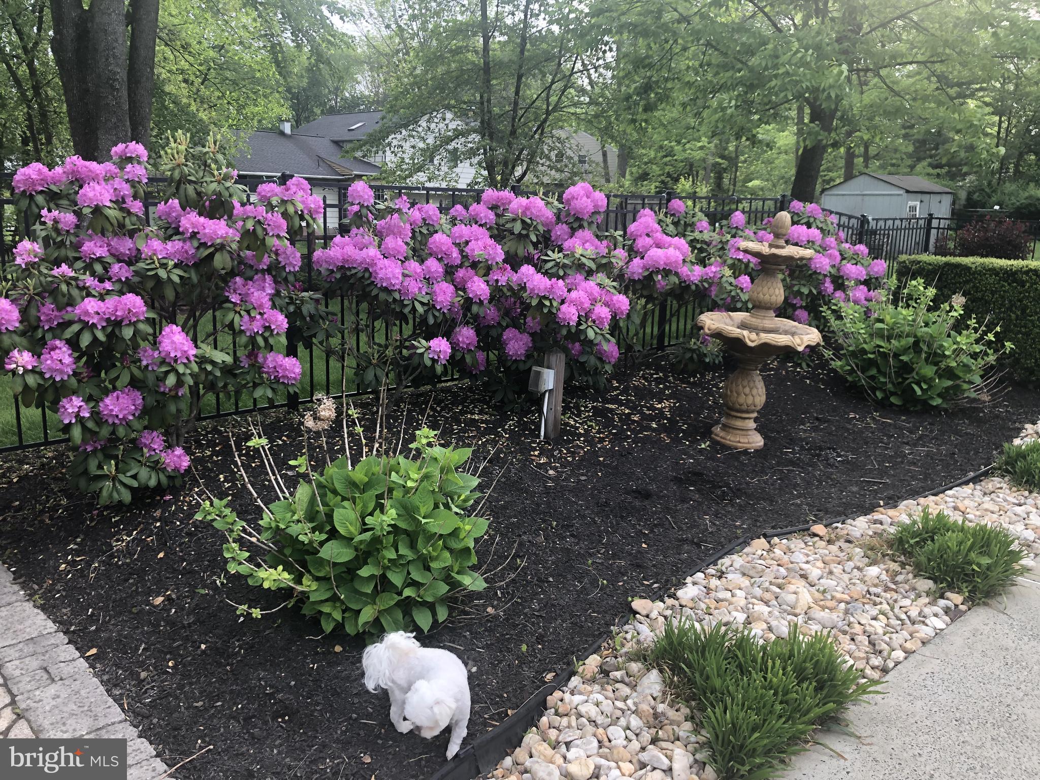 COLDSPRING CROSSIN - Residential