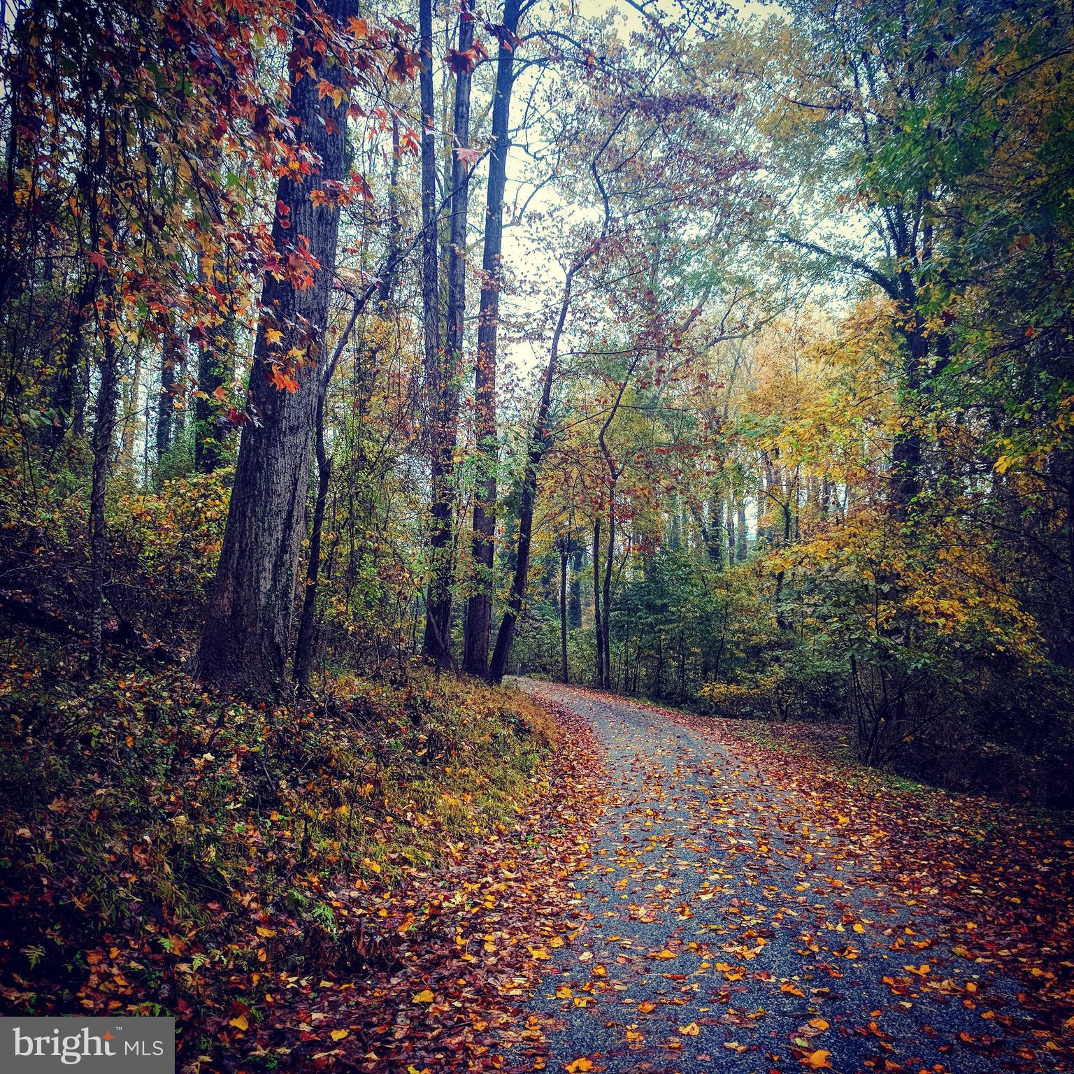 SCIENTISTS CLIFFS - Residential