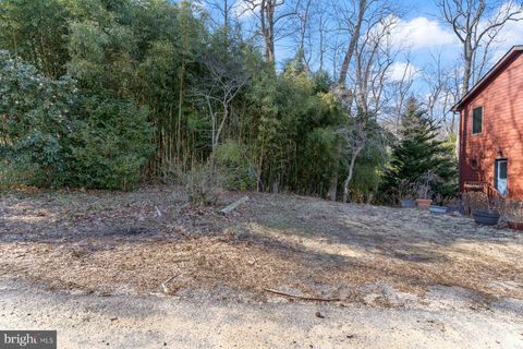 listing image 50