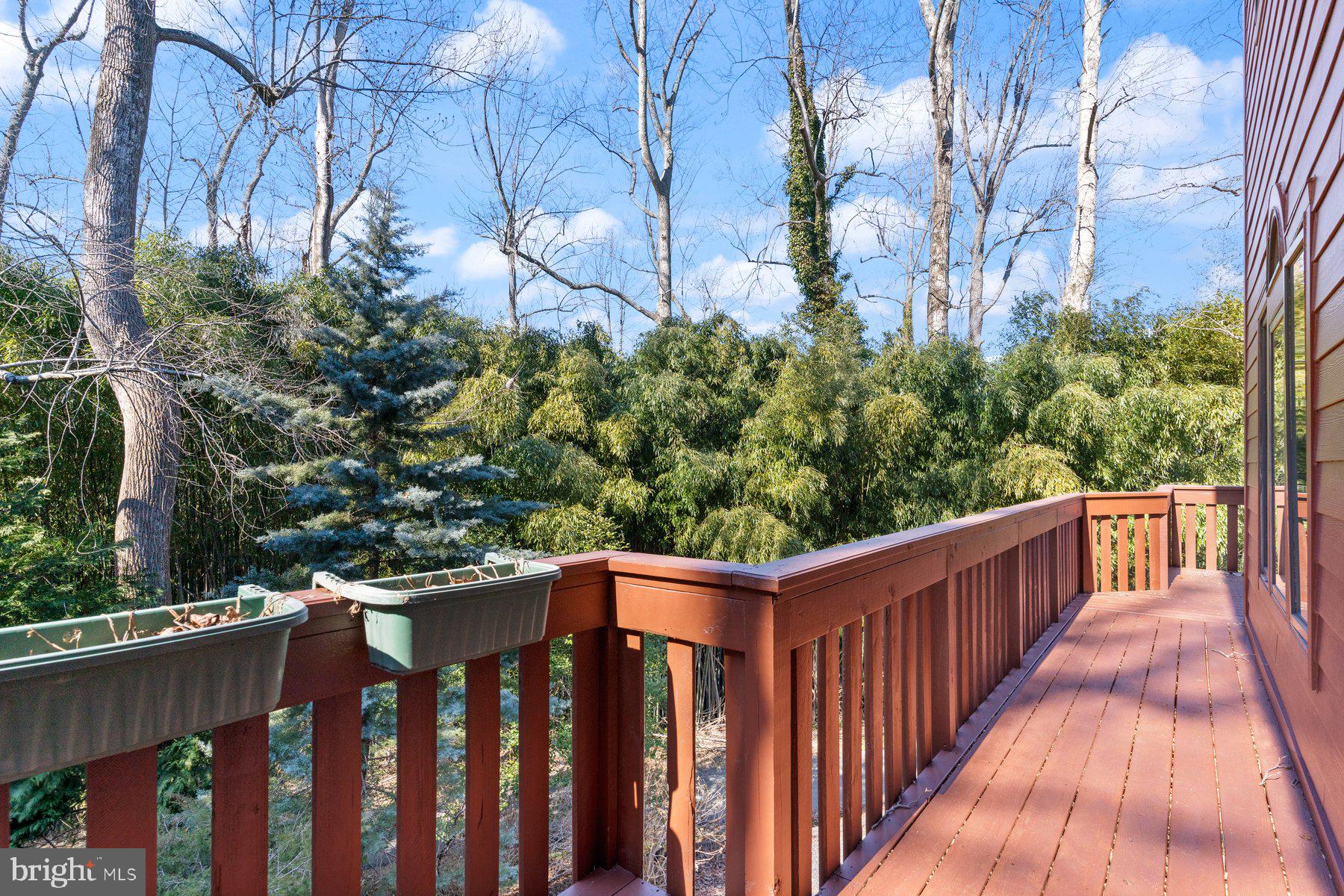 SCIENTISTS CLIFFS - Residential