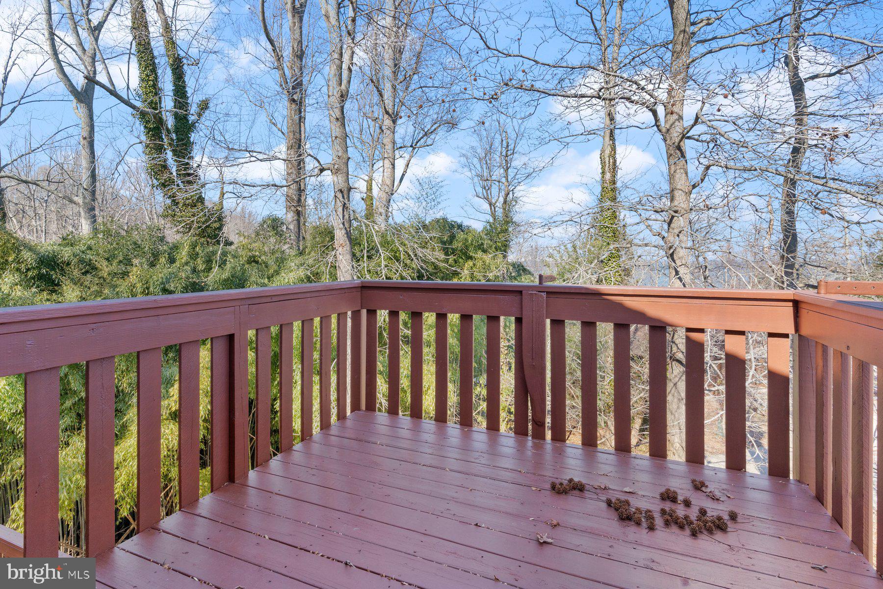 SCIENTISTS CLIFFS - Residential