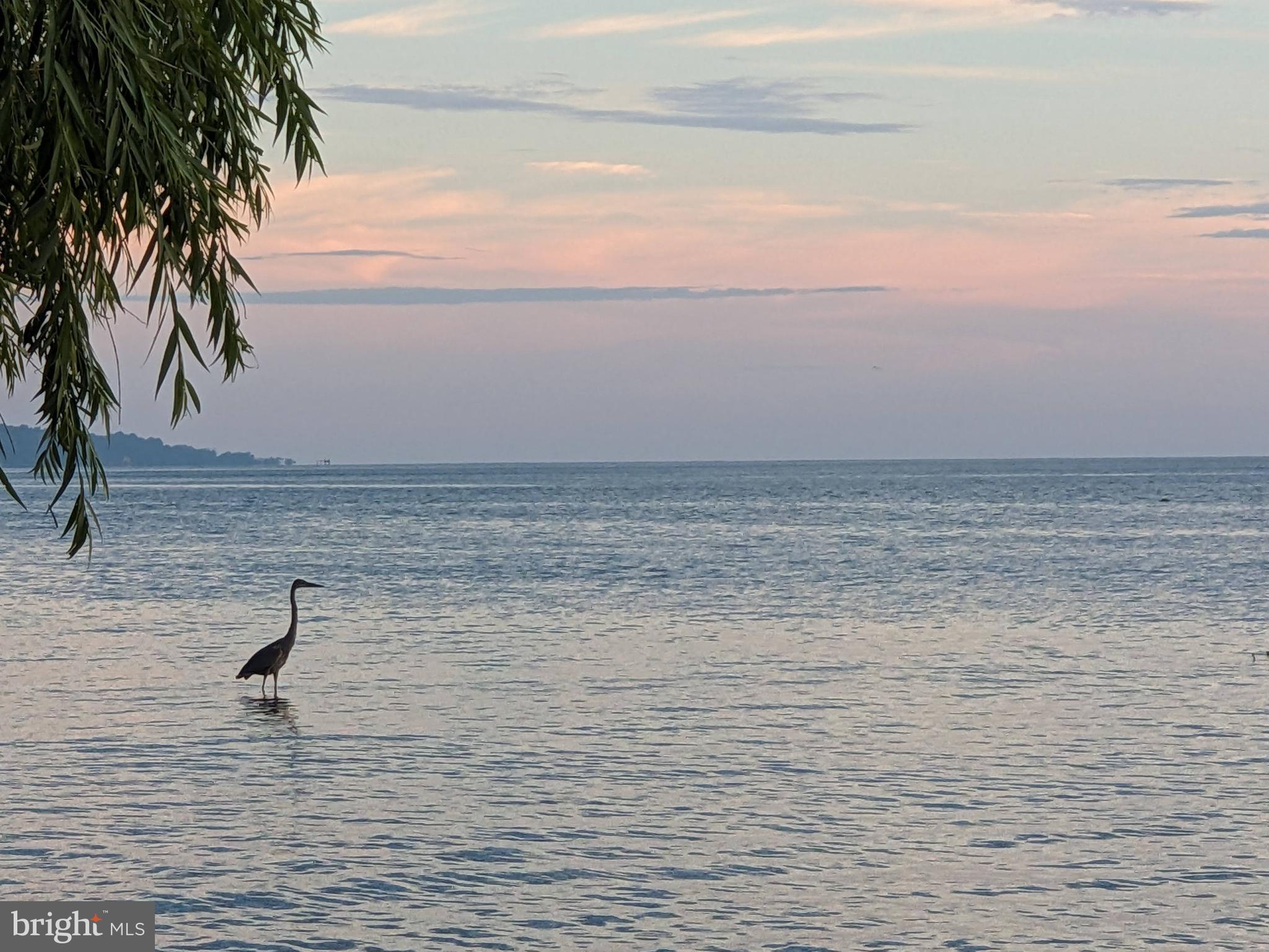 SCIENTISTS CLIFFS - Residential