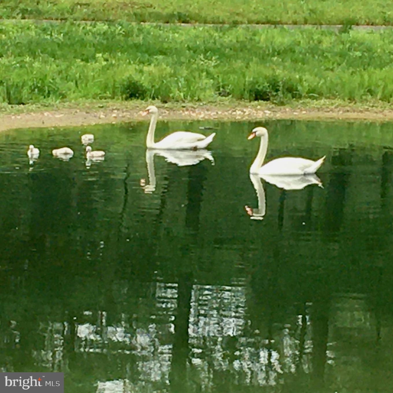 FAWN LAKE - Residential Lease