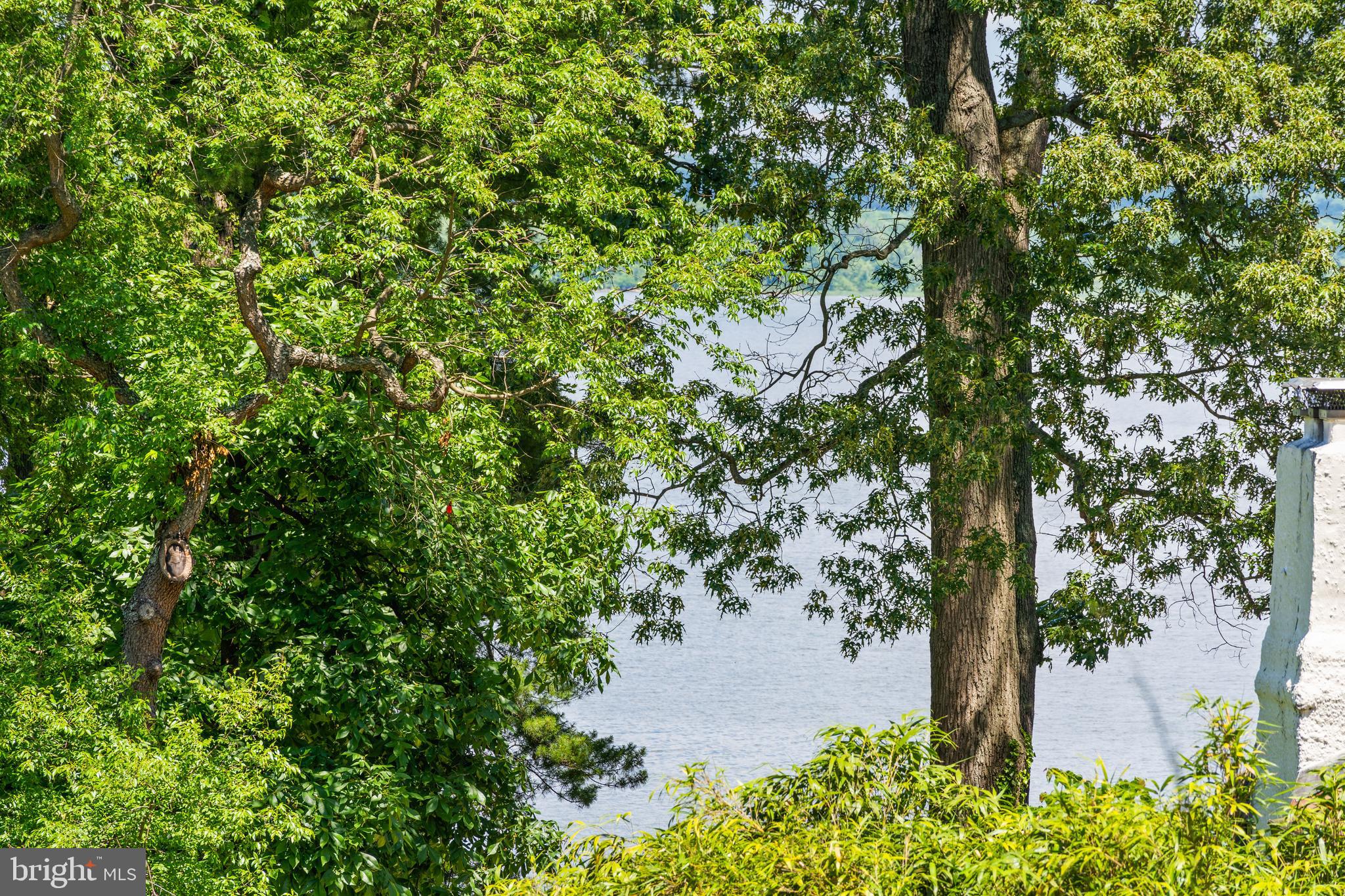 ARCTURUS ON THE POTOMAC - Residential