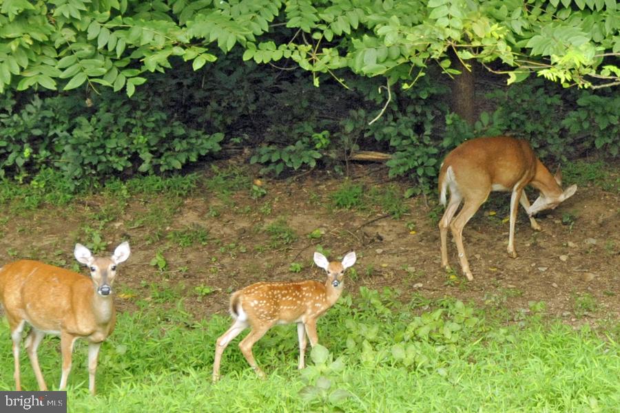 OAK HILL ESTATES - Residential