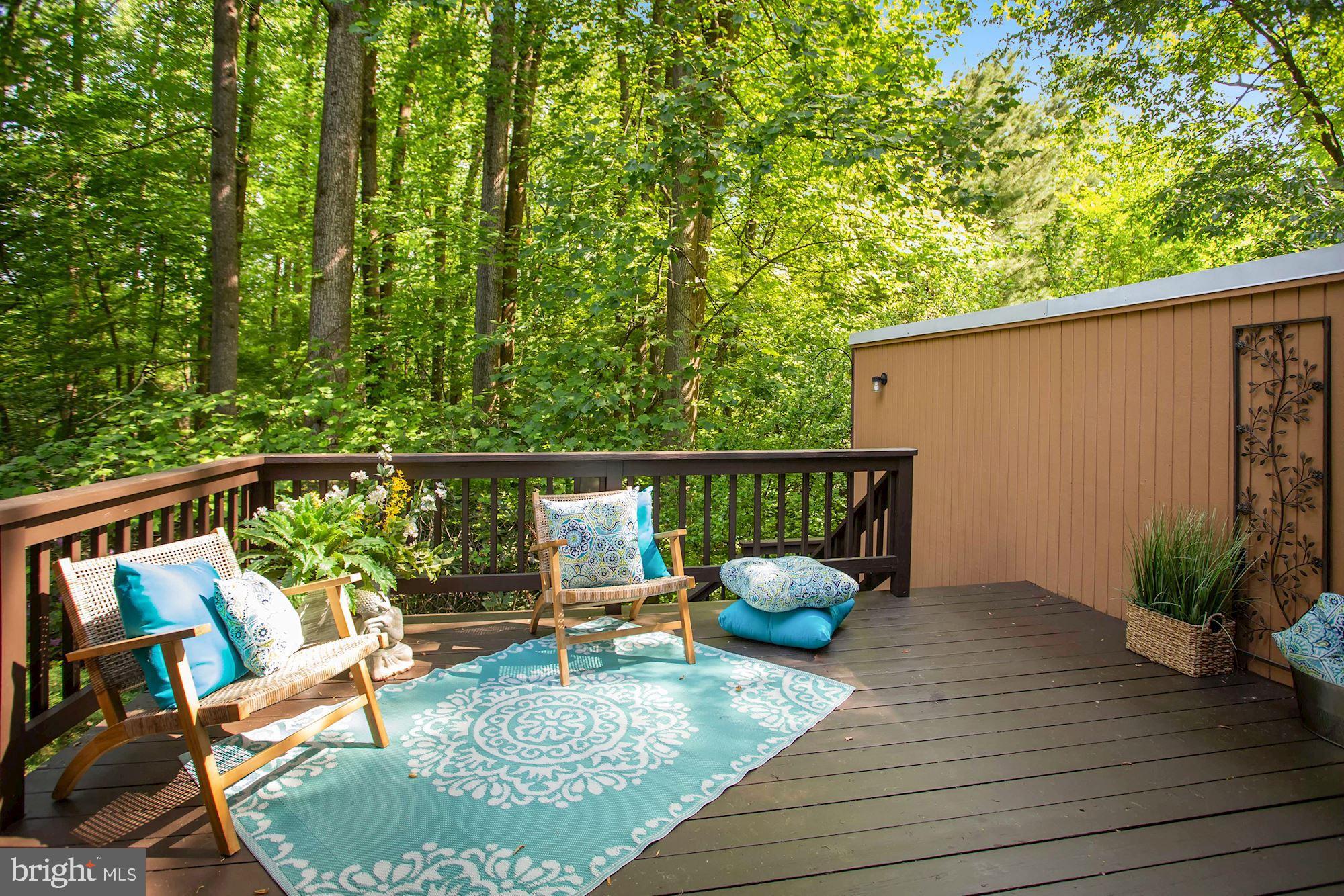 HOLMES RUN ACRES - Residential