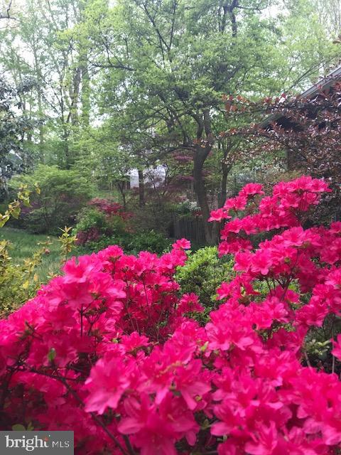 HOLMES RUN ACRES - Residential