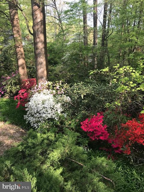 HOLMES RUN ACRES - Residential