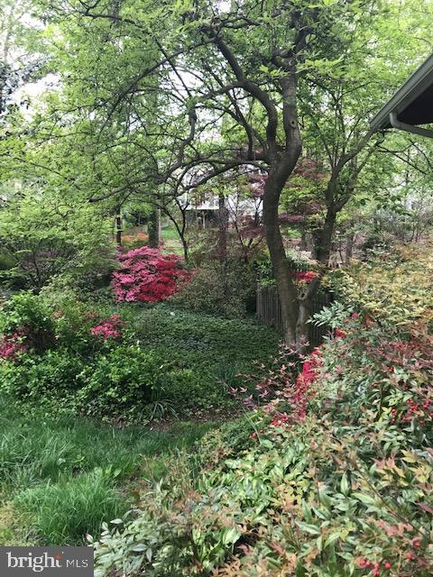 HOLMES RUN ACRES - Residential