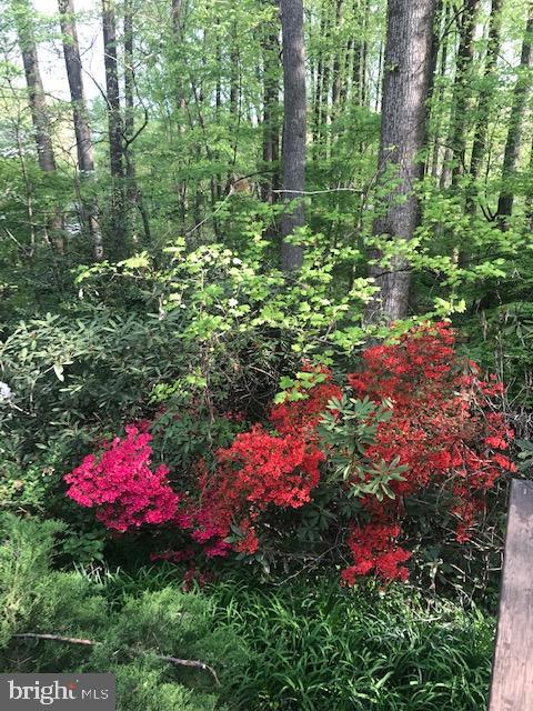 HOLMES RUN ACRES - Residential