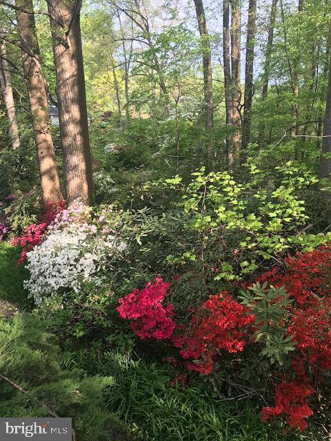HOLMES RUN ACRES - Residential