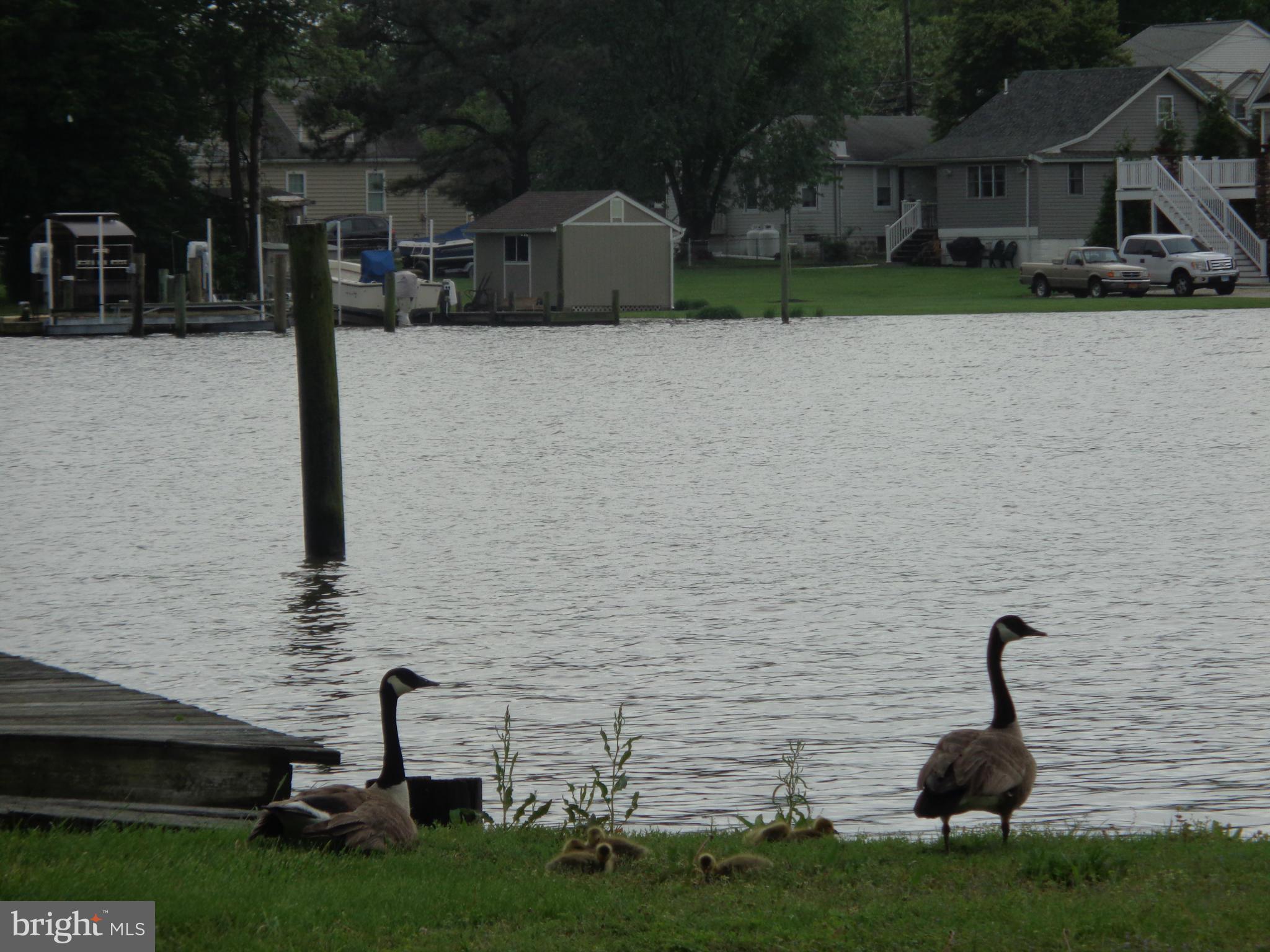 OLEARY - Residential Lease