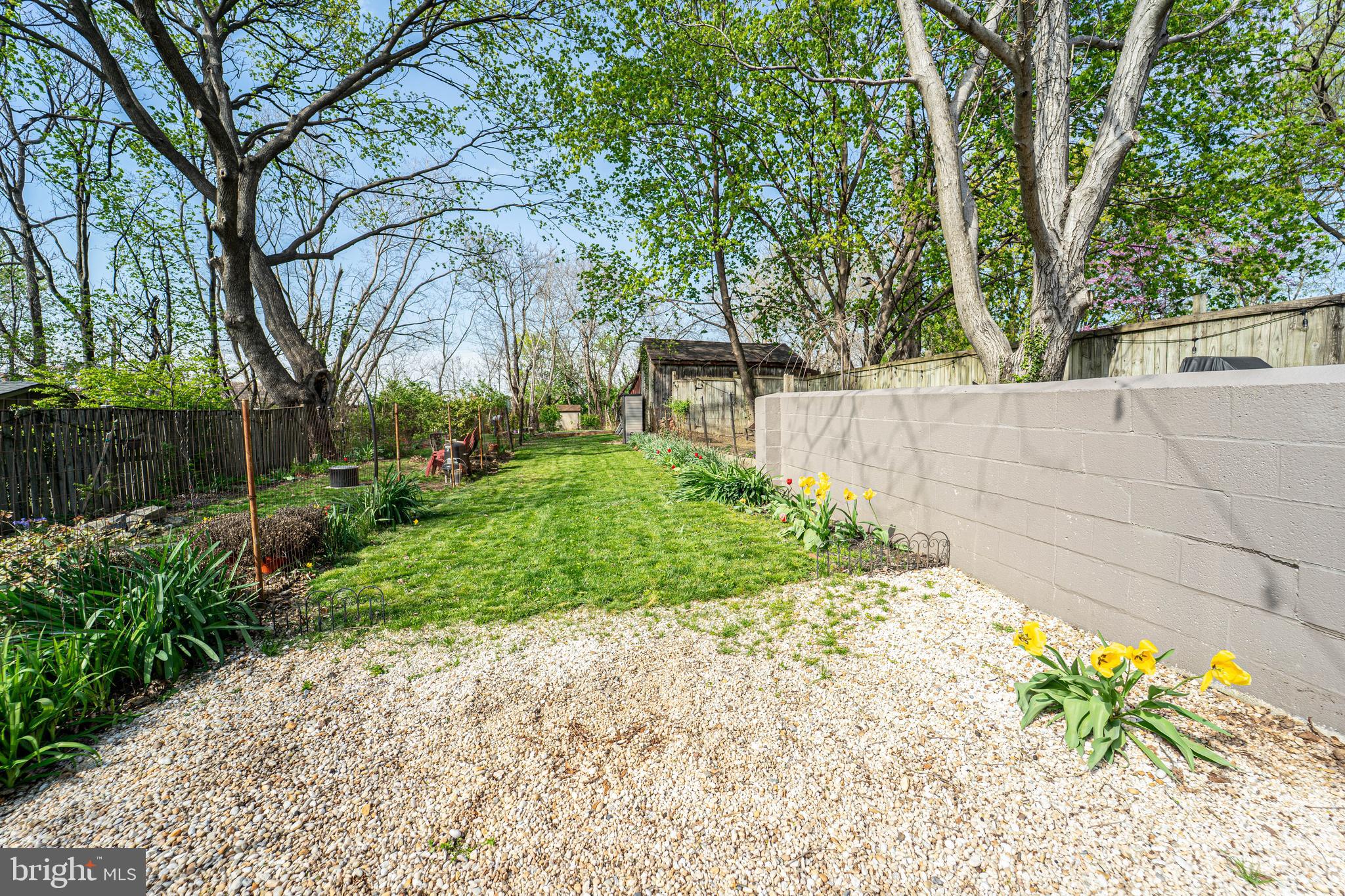 DOWNTOWN FREDERICK - Residential