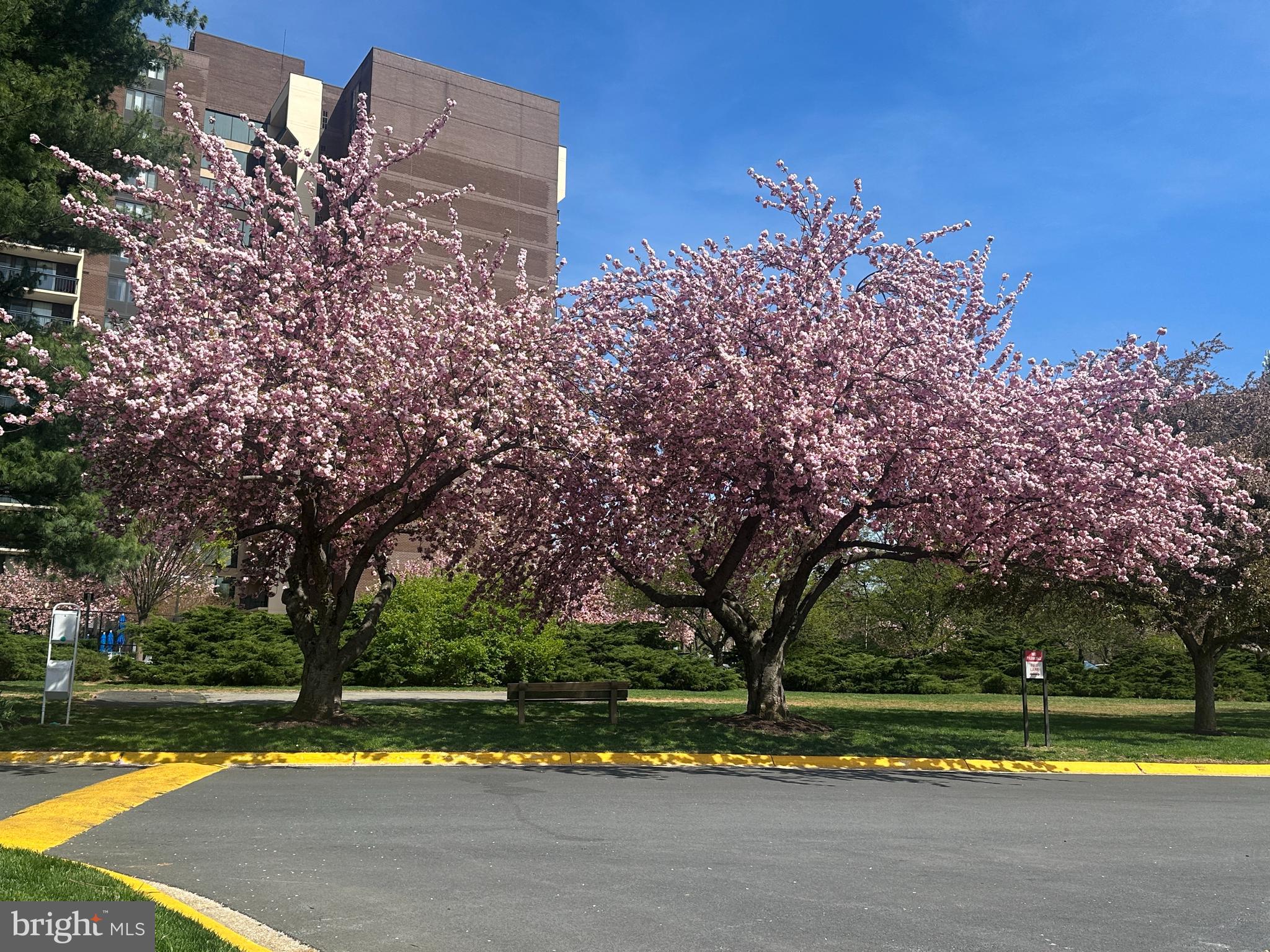 SPRING LAKE GARDEN CONDOMINIUM - Residential