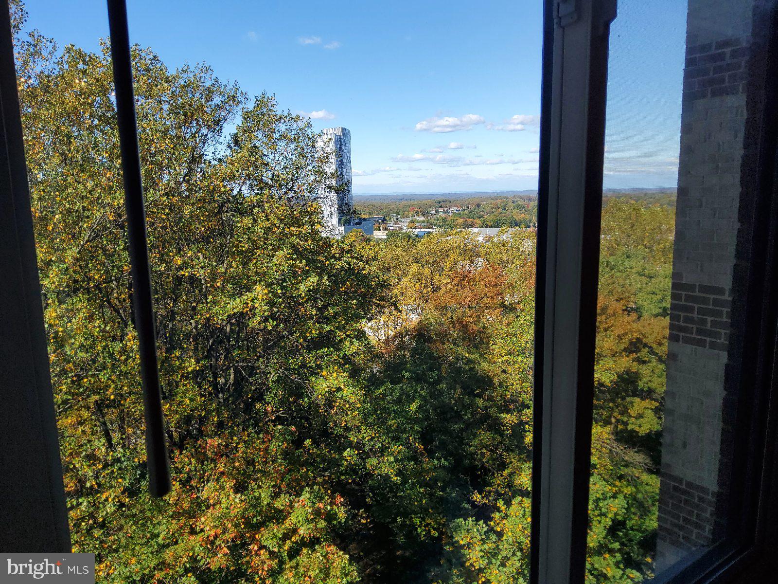 ROTONDA - Residential Lease