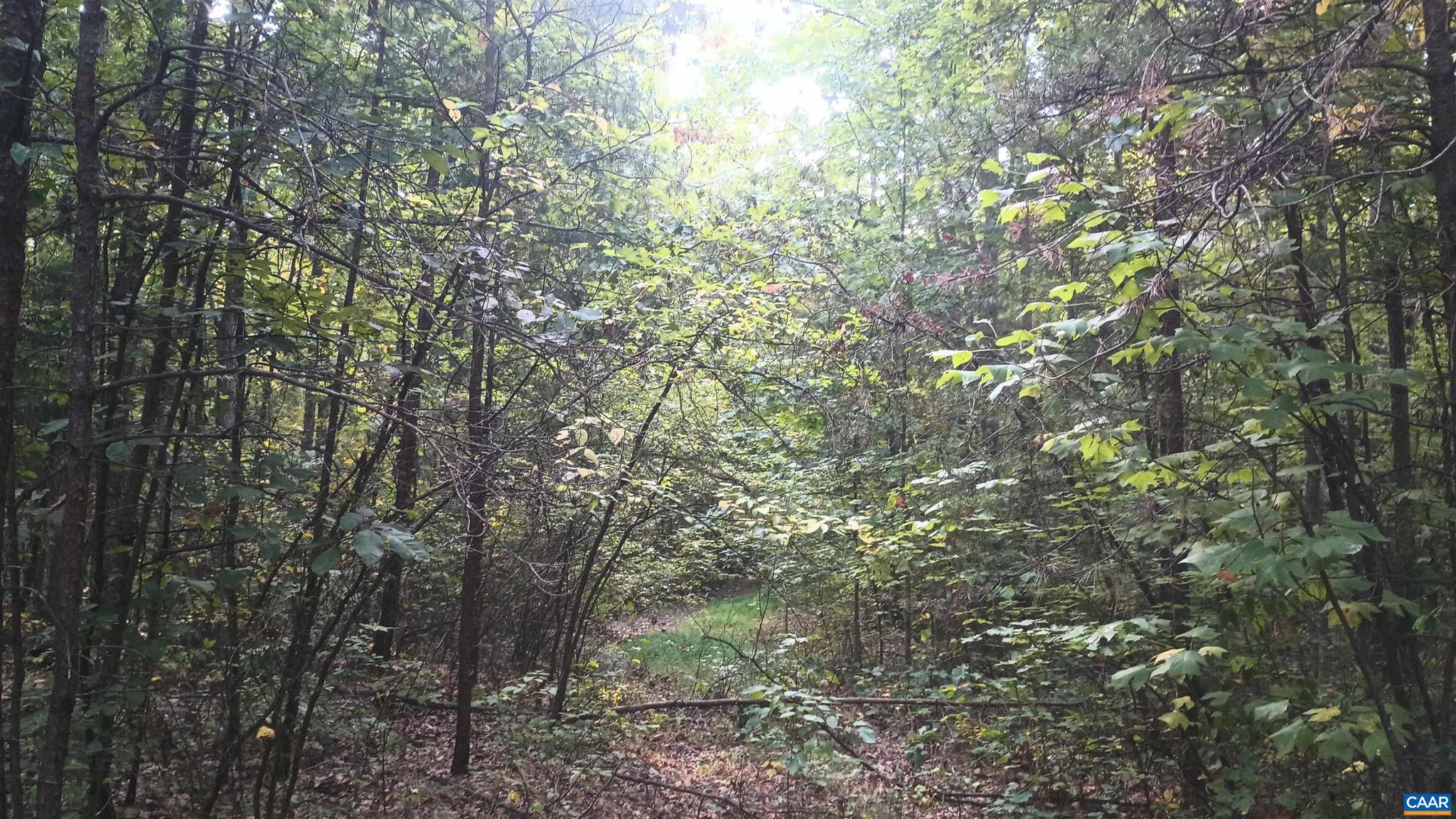 PINEY MOUNTAIN - Land