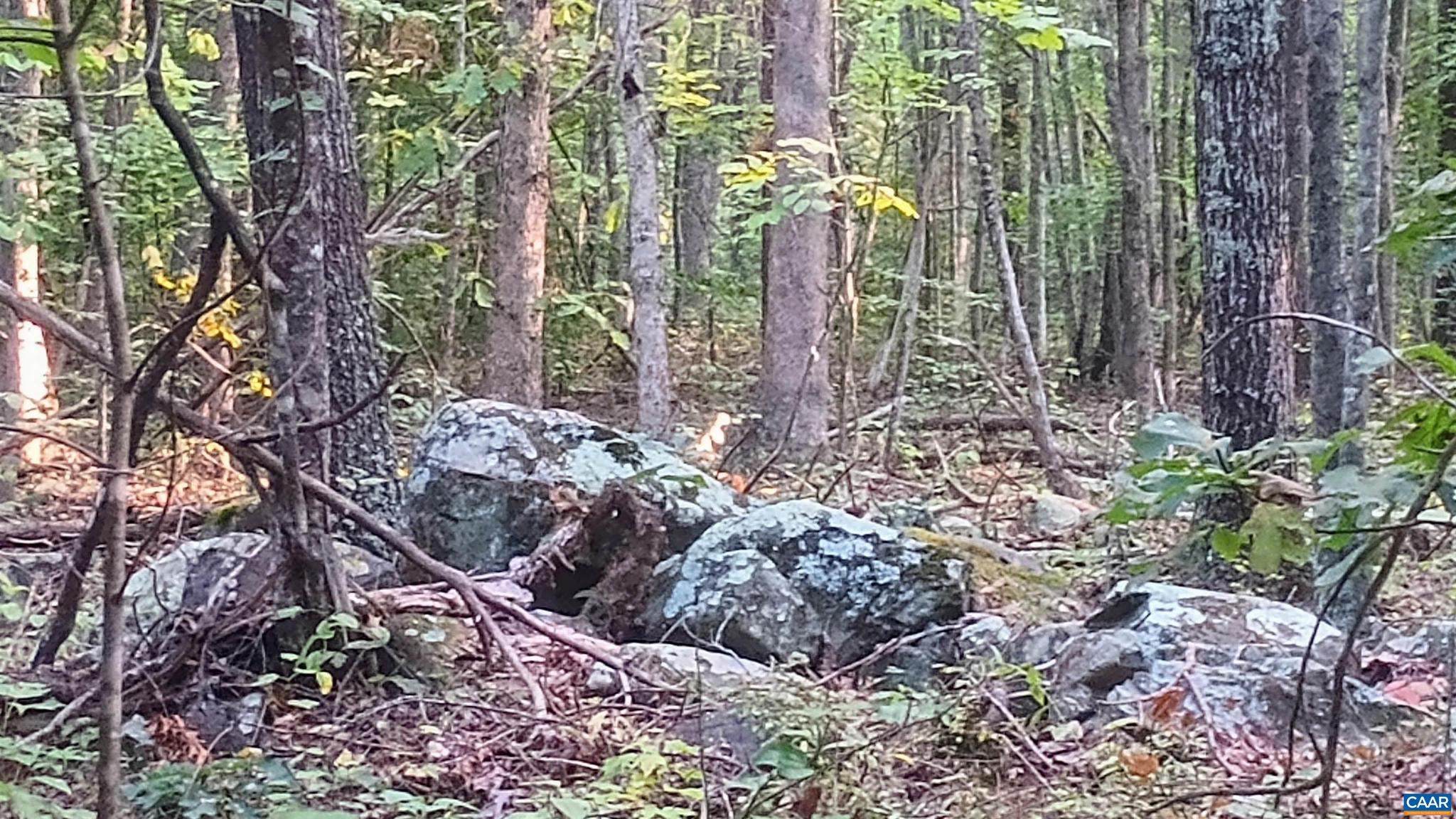 PINEY MOUNTAIN - Land