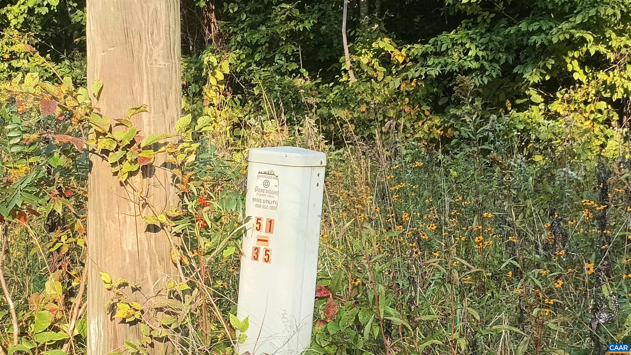 PINEY MOUNTAIN - Land