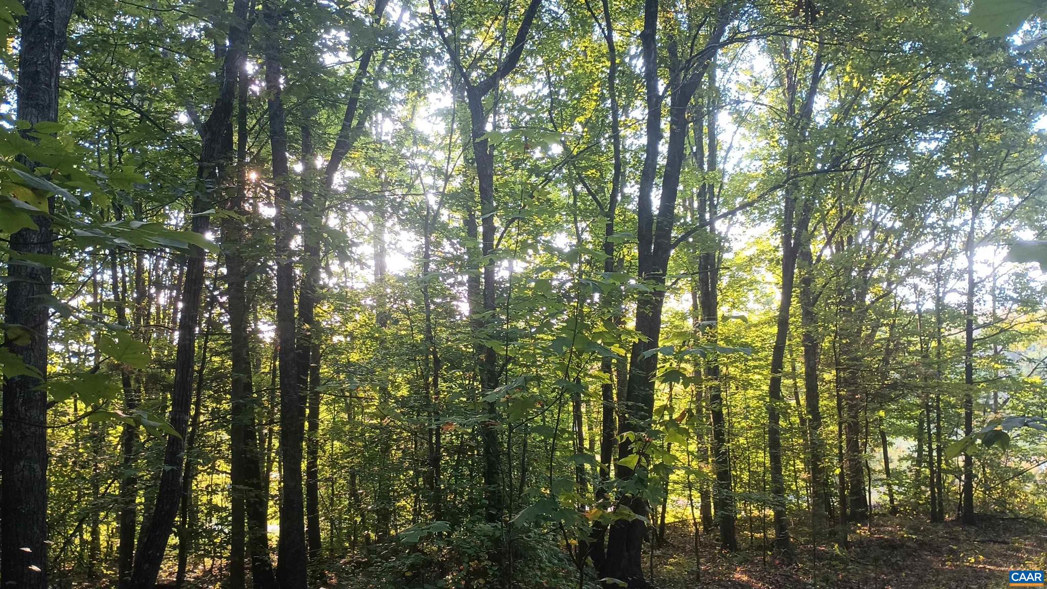 PINEY MOUNTAIN - Land