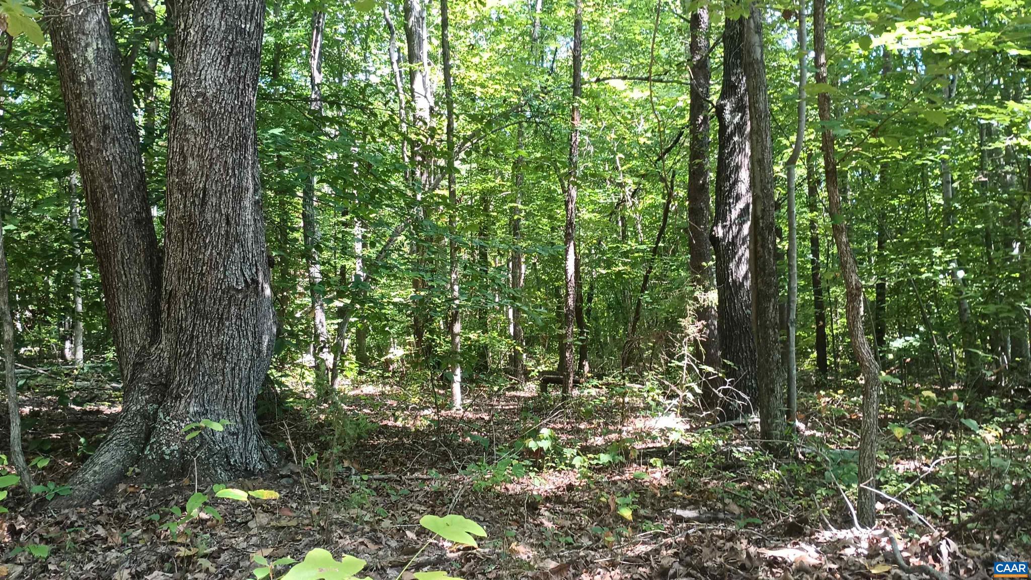 PINEY MOUNTAIN - Land