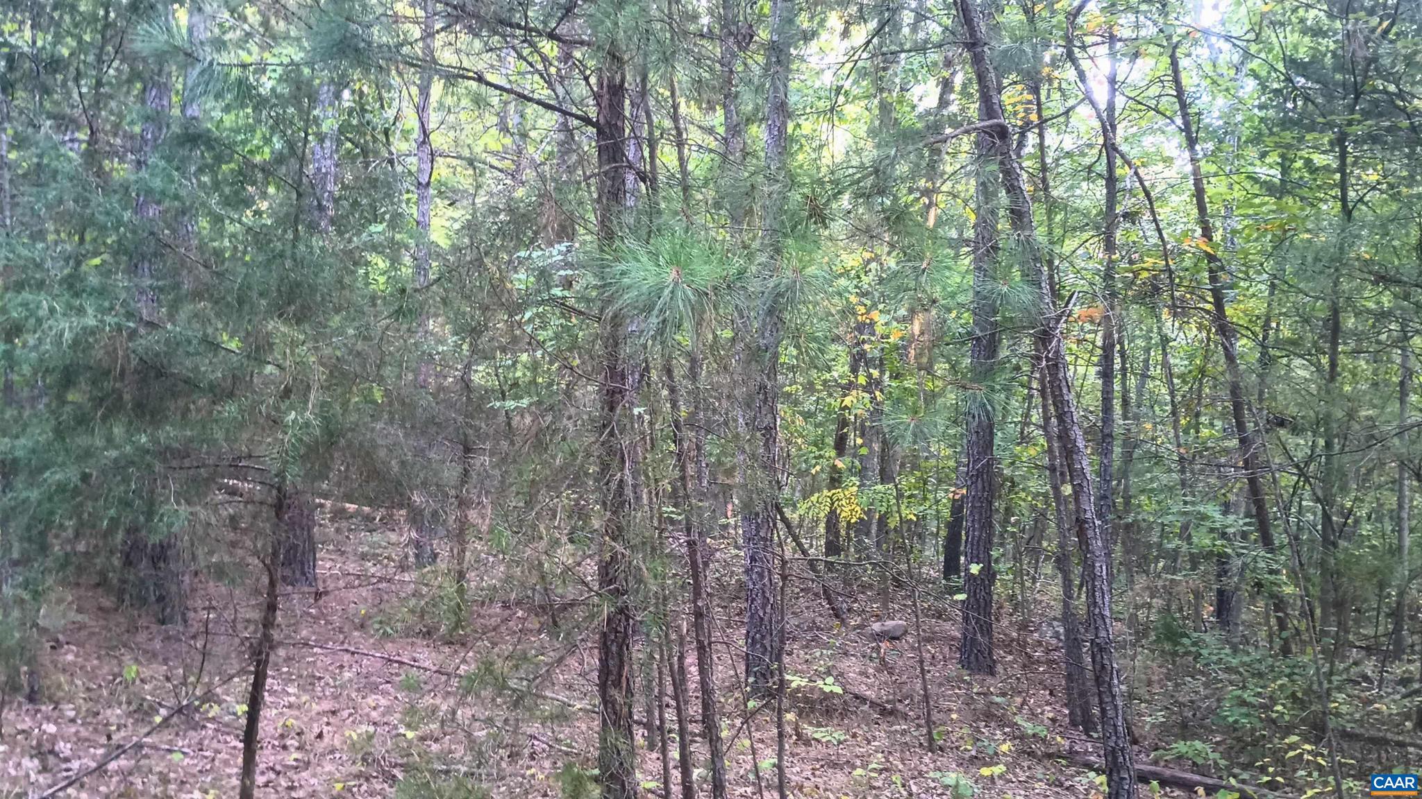 PINEY MOUNTAIN - Land