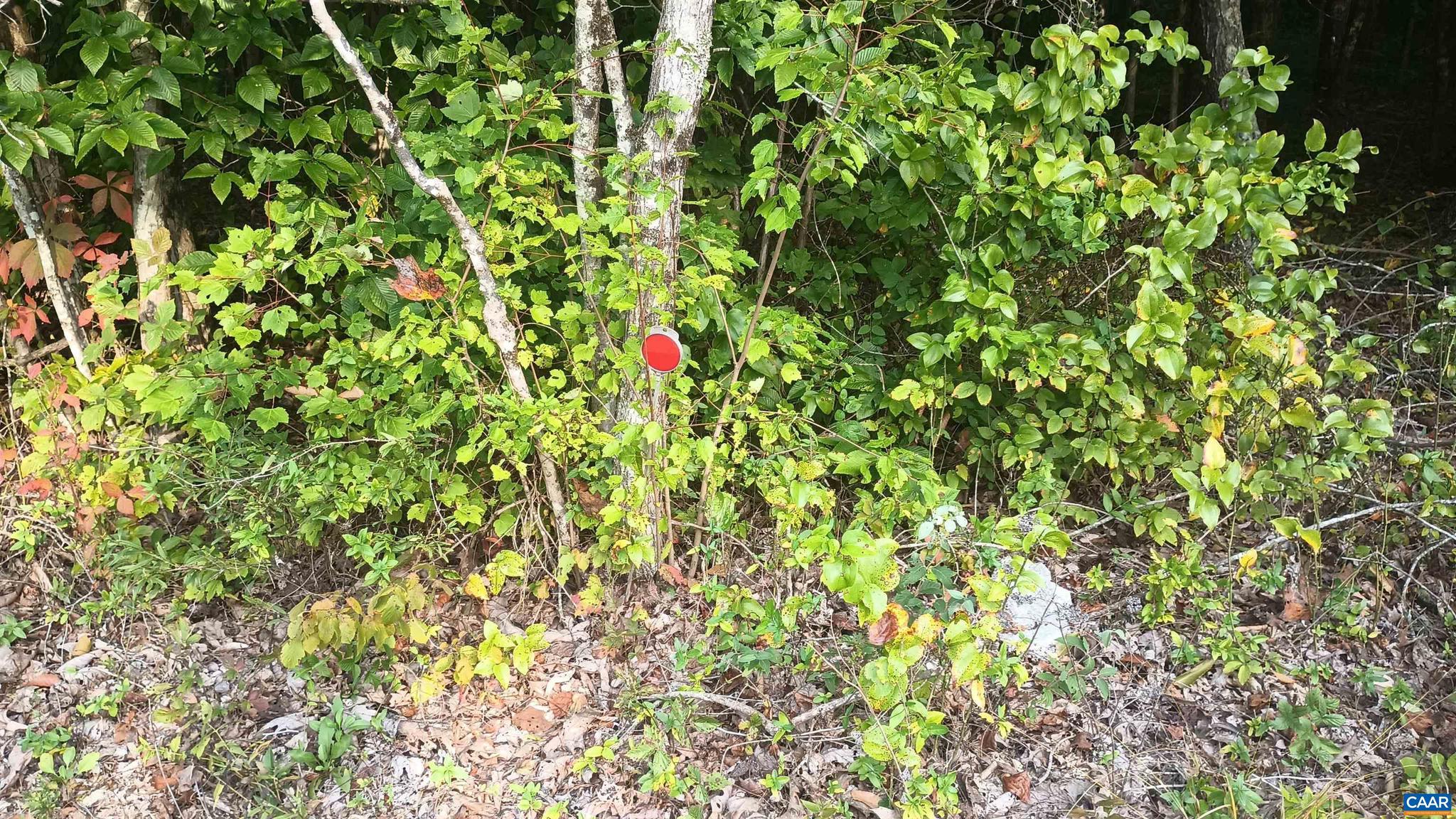 PINEY MOUNTAIN - Land