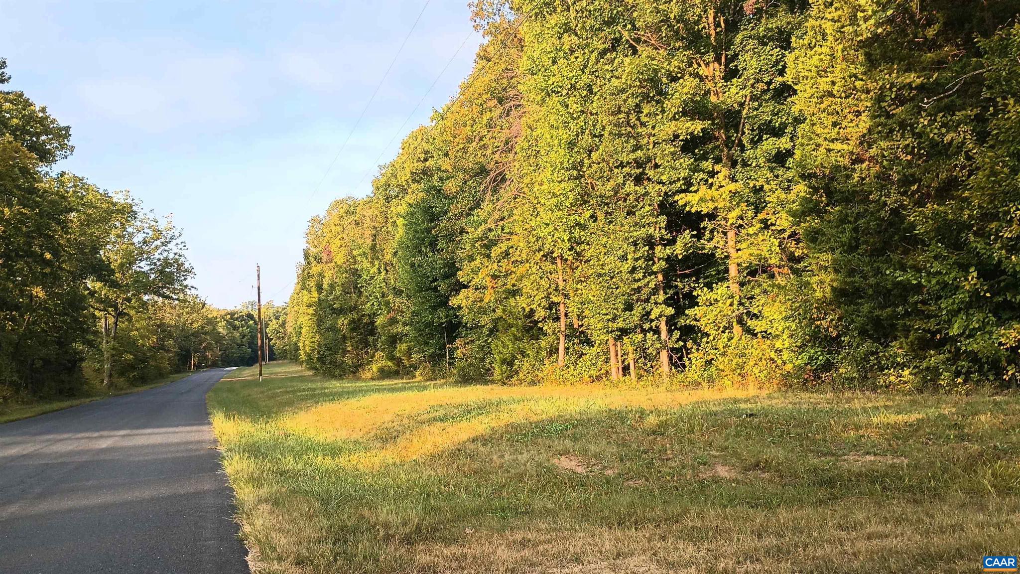 PINEY MOUNTAIN - Land