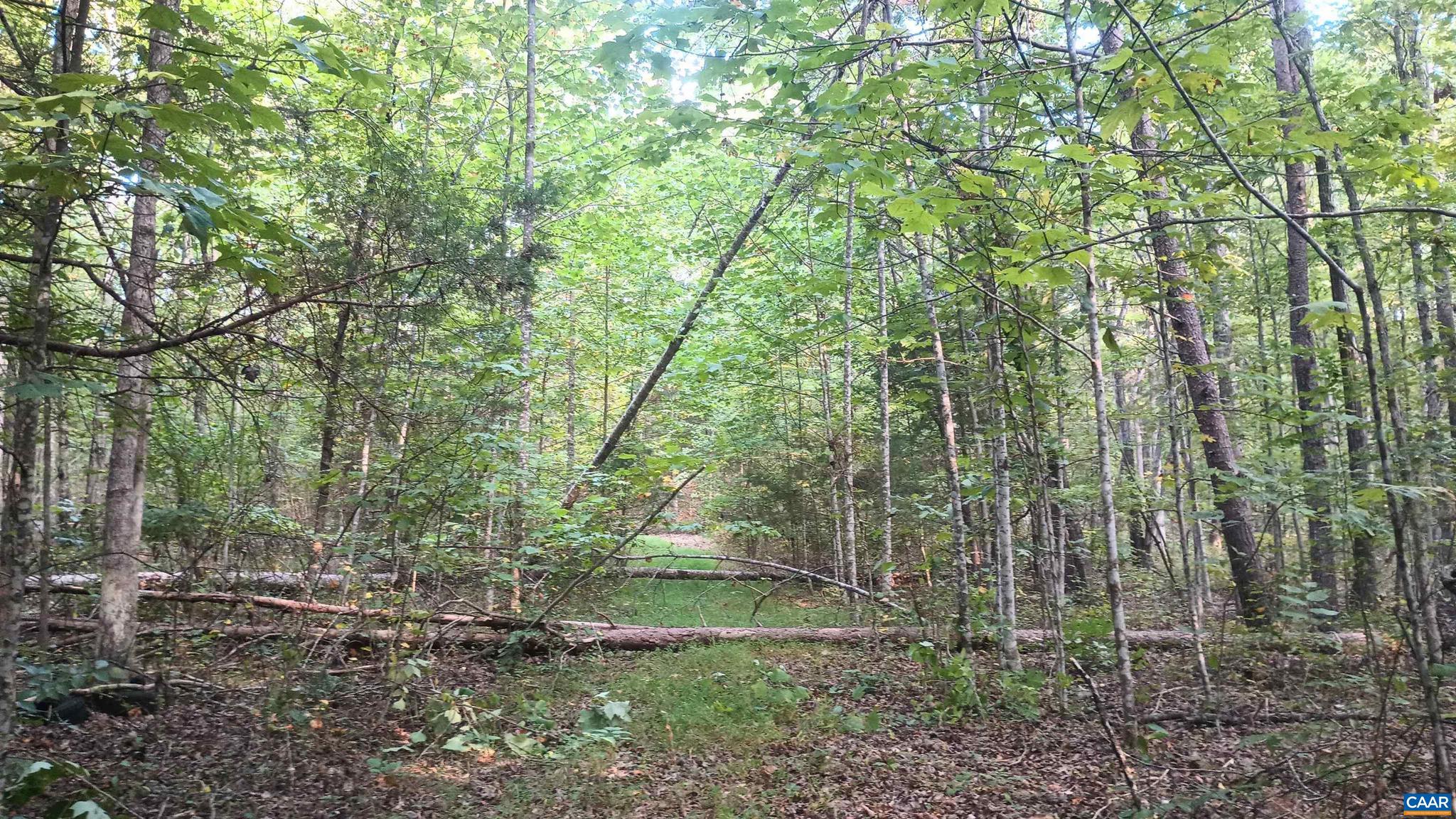 PINEY MOUNTAIN - Land