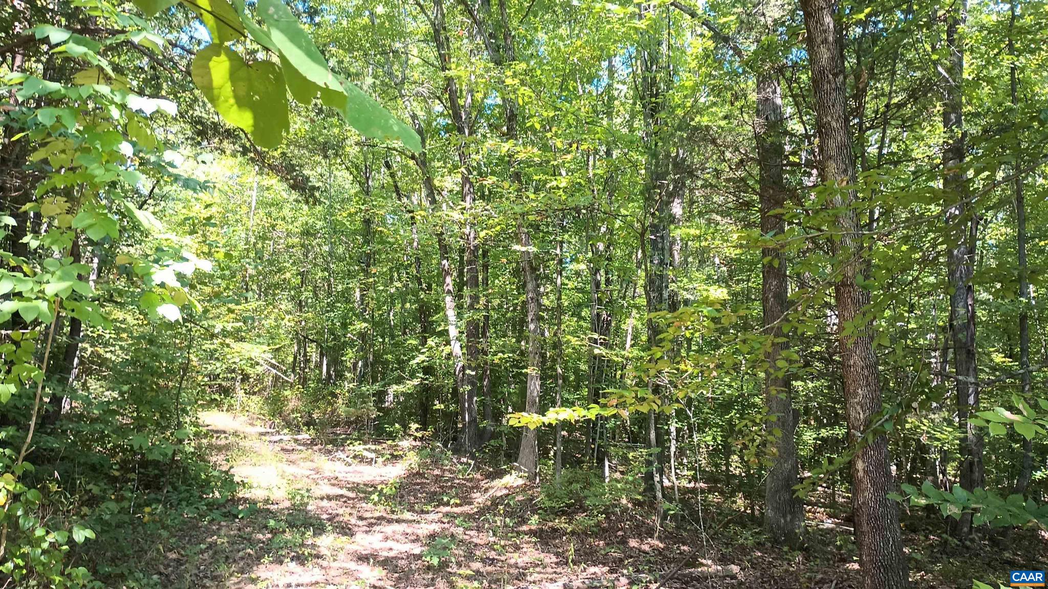 PINEY MOUNTAIN - Land