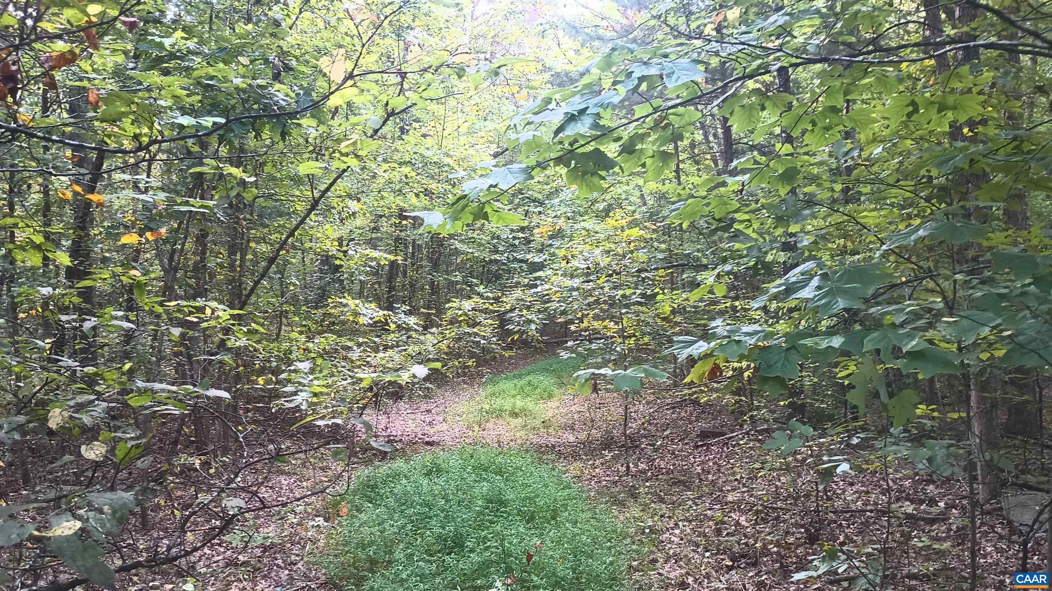 PINEY MOUNTAIN - Land