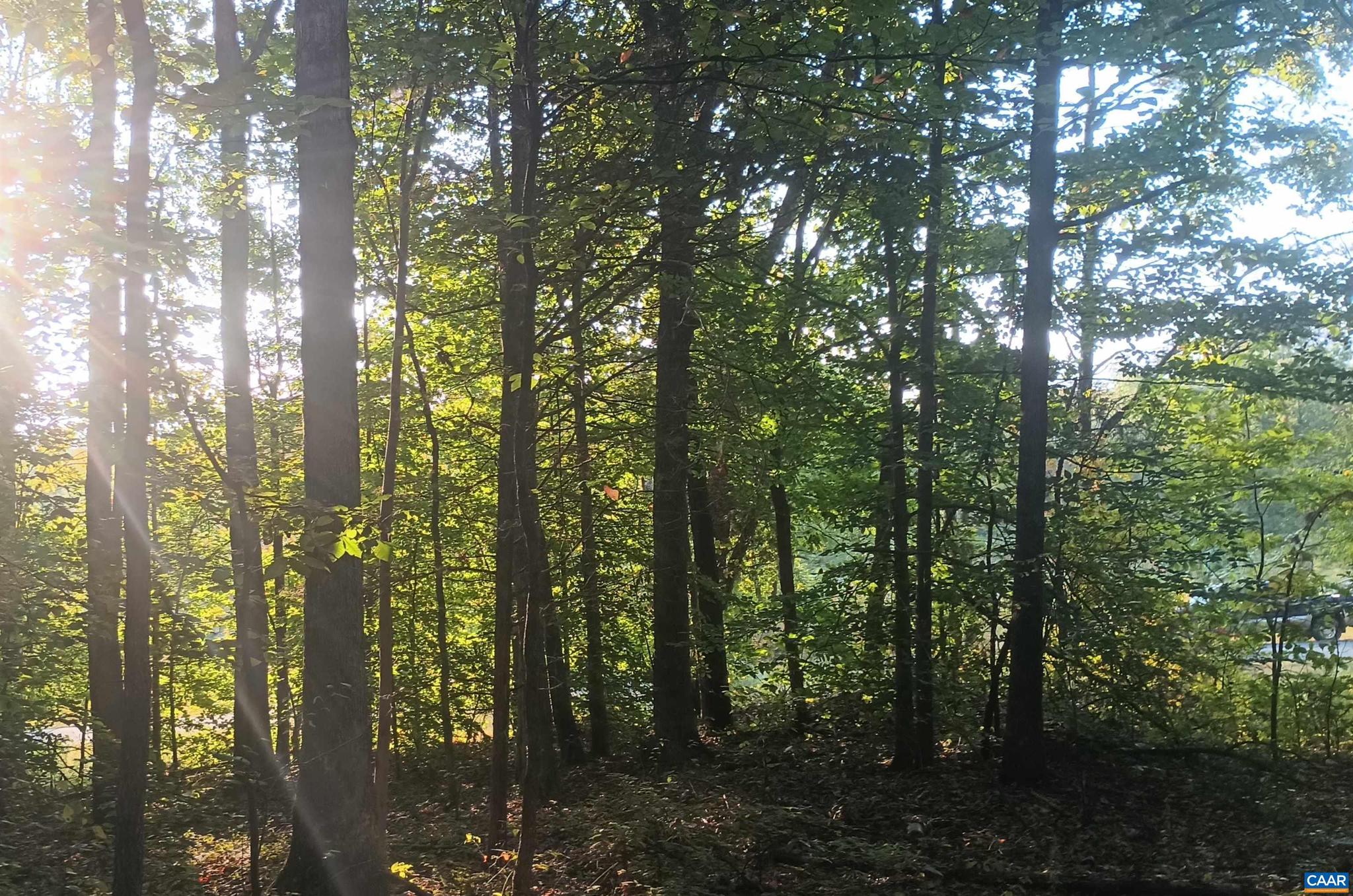 PINEY MOUNTAIN - Land