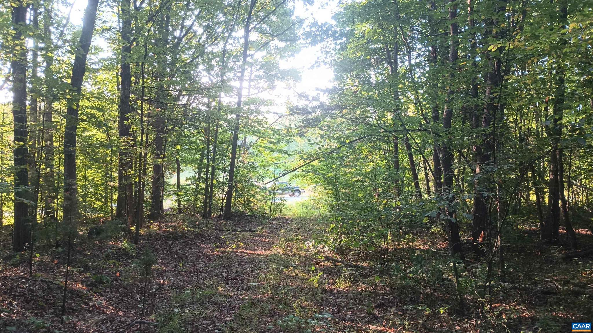 PINEY MOUNTAIN - Land