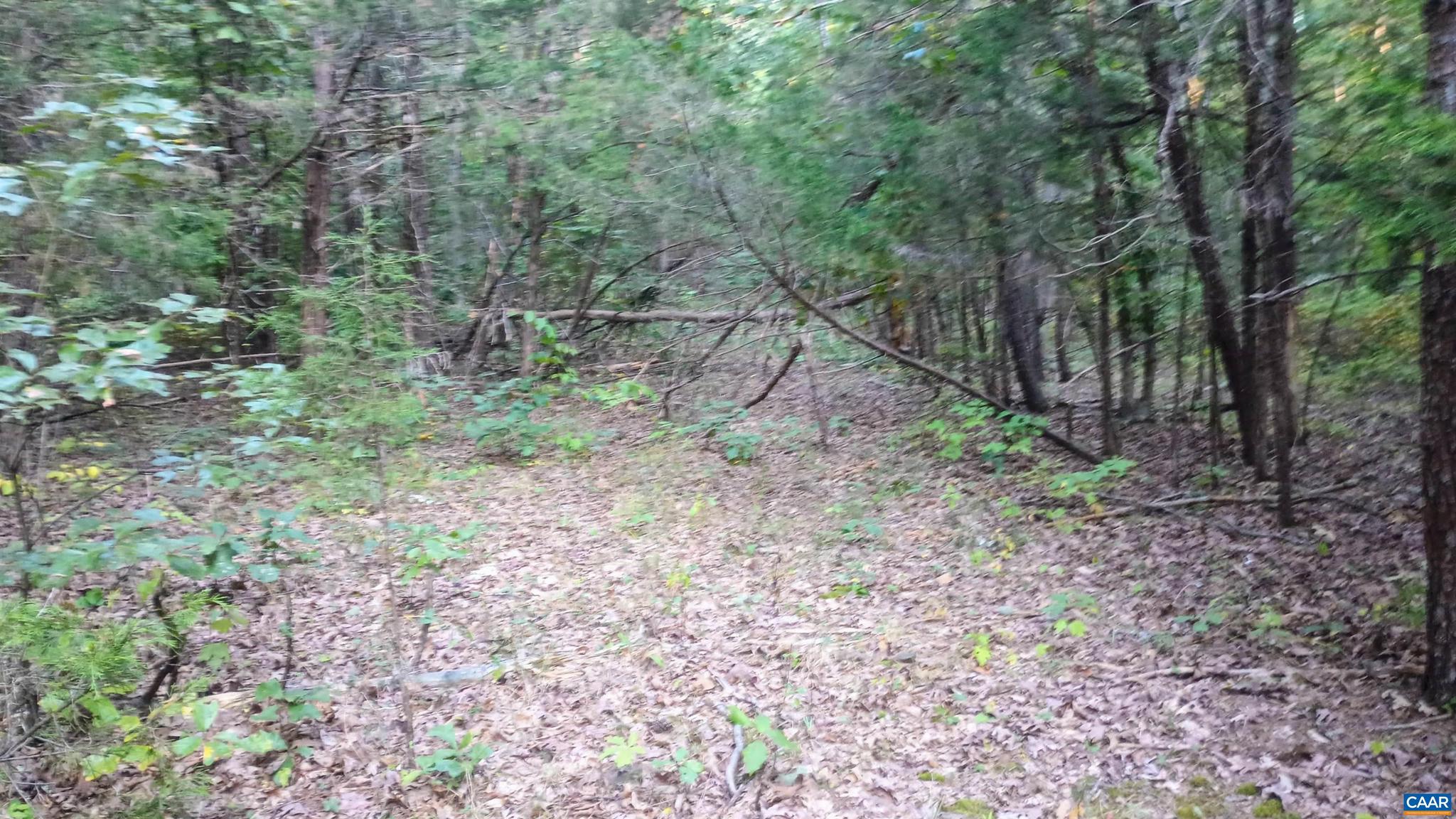 PINEY MOUNTAIN - Land