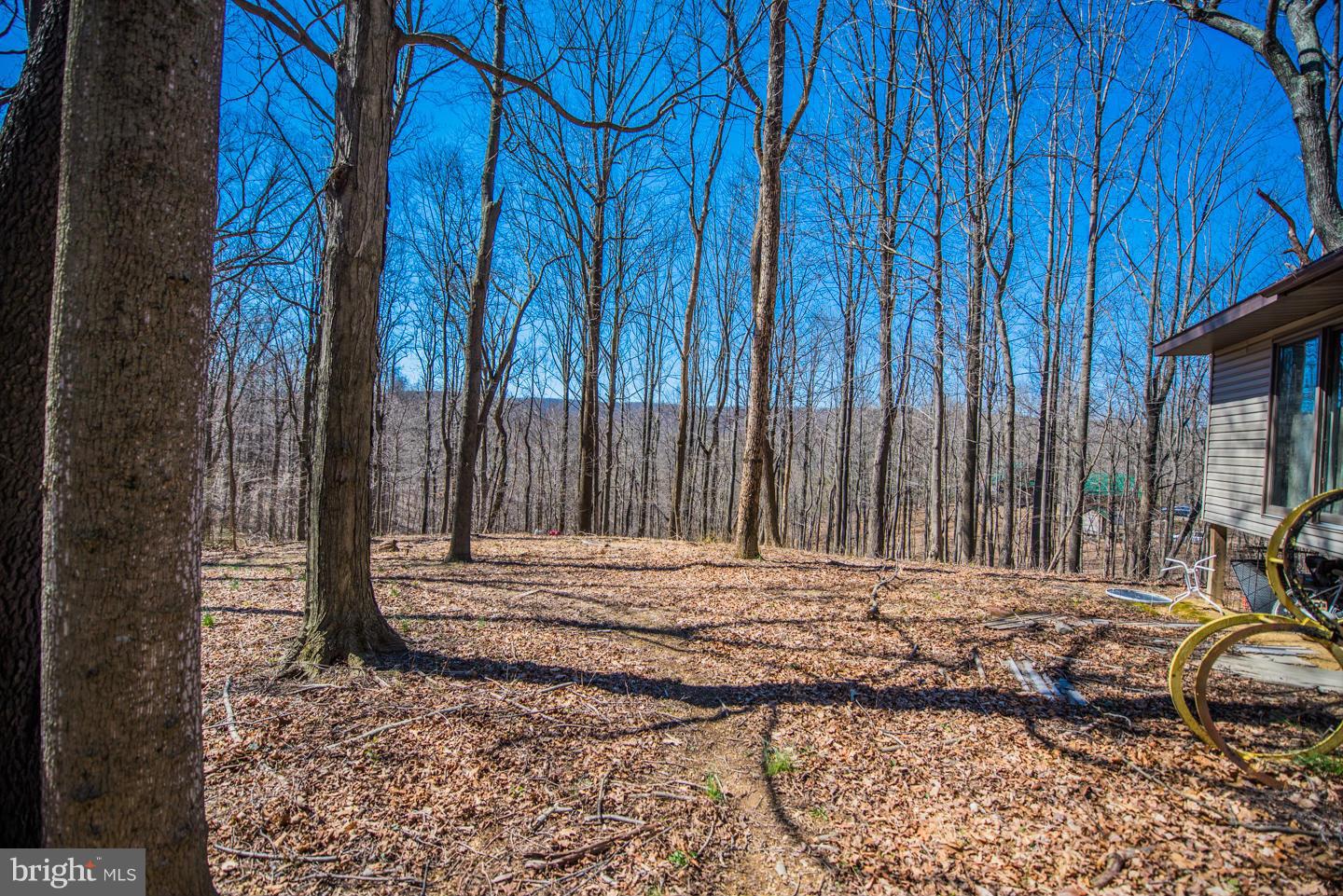 TREELAND HILLS - Residential