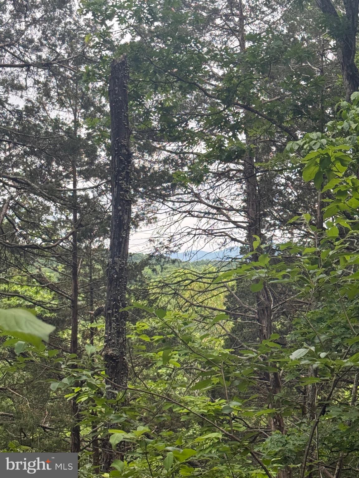 RIVER RIDGE ON THE SHENANDOAH - Residential