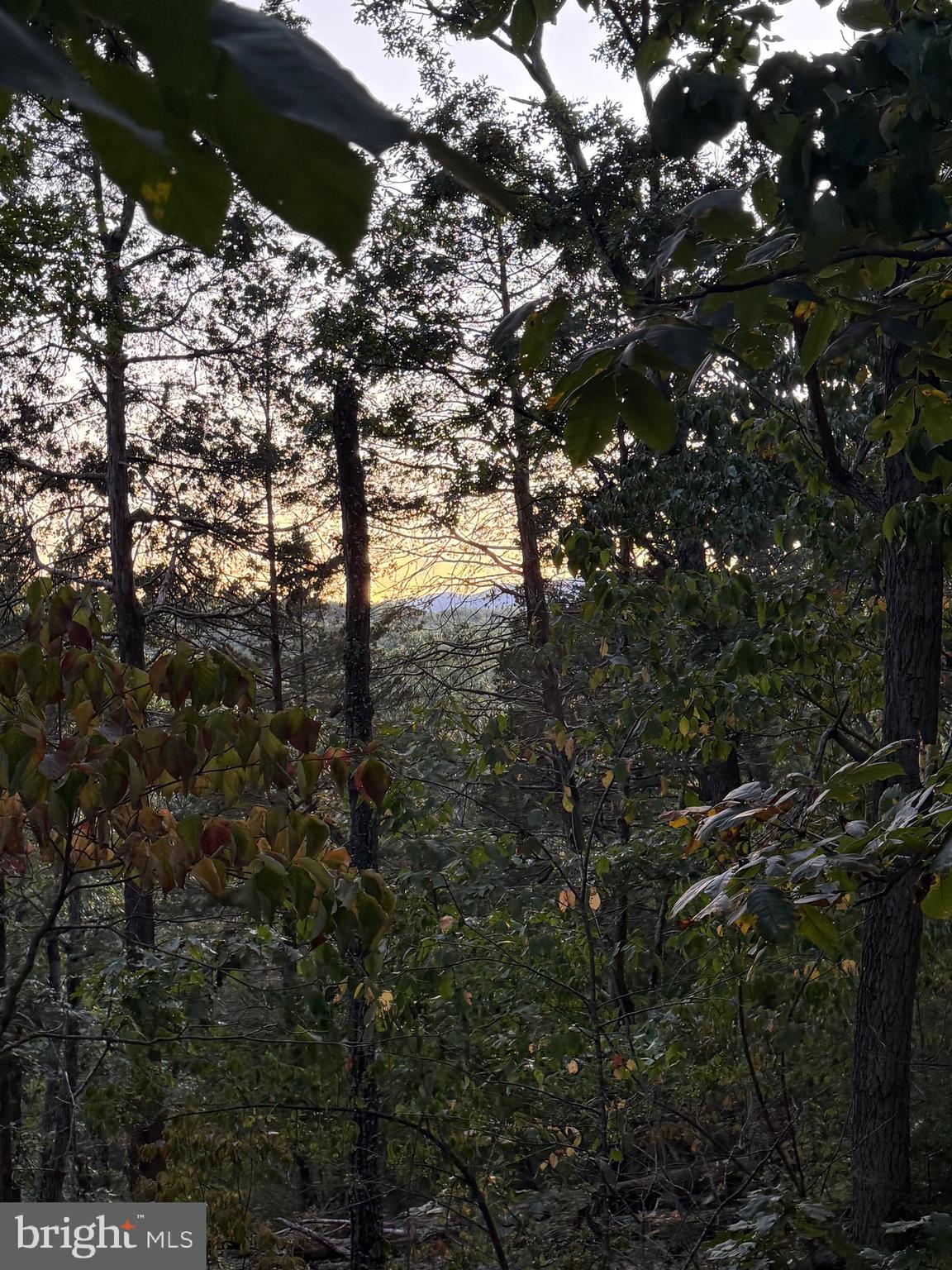 RIVER RIDGE ON THE SHENANDOAH - Residential