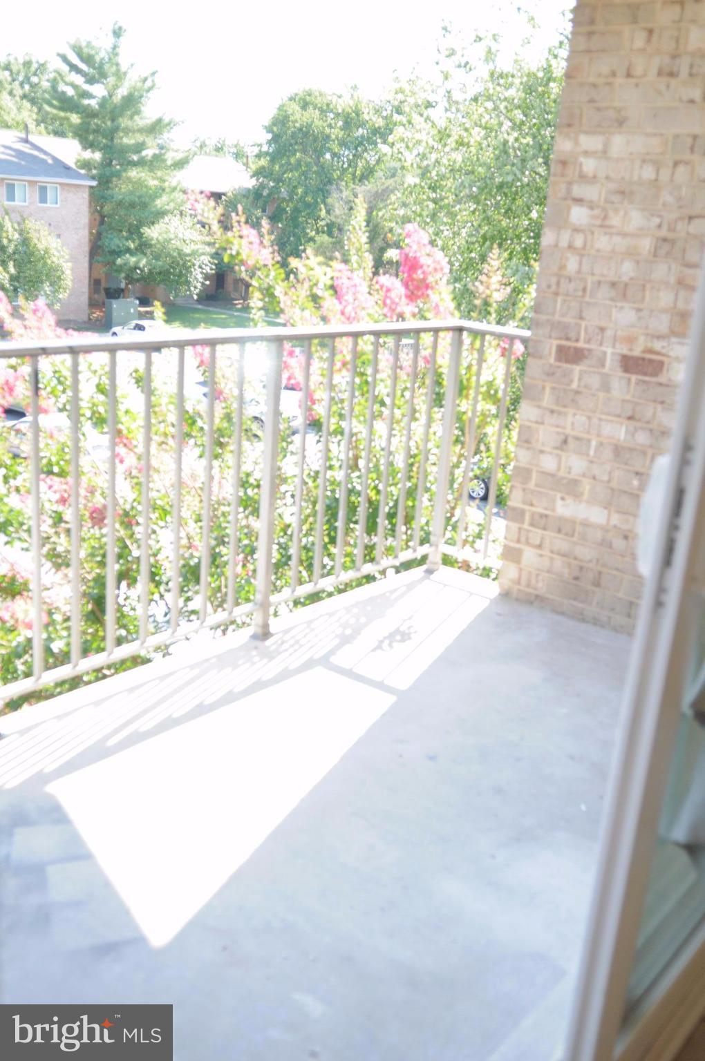 COLCHESTER TOWNE - Residential