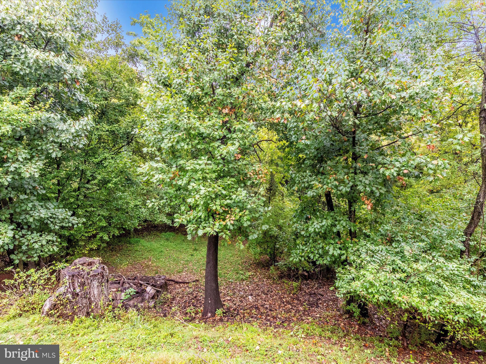 BALLENGER CREEK - Residential