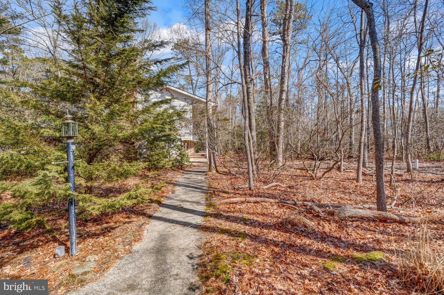 220 OTIS BOG ROAD