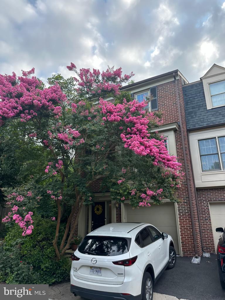 SOCIETY HILL - Residential