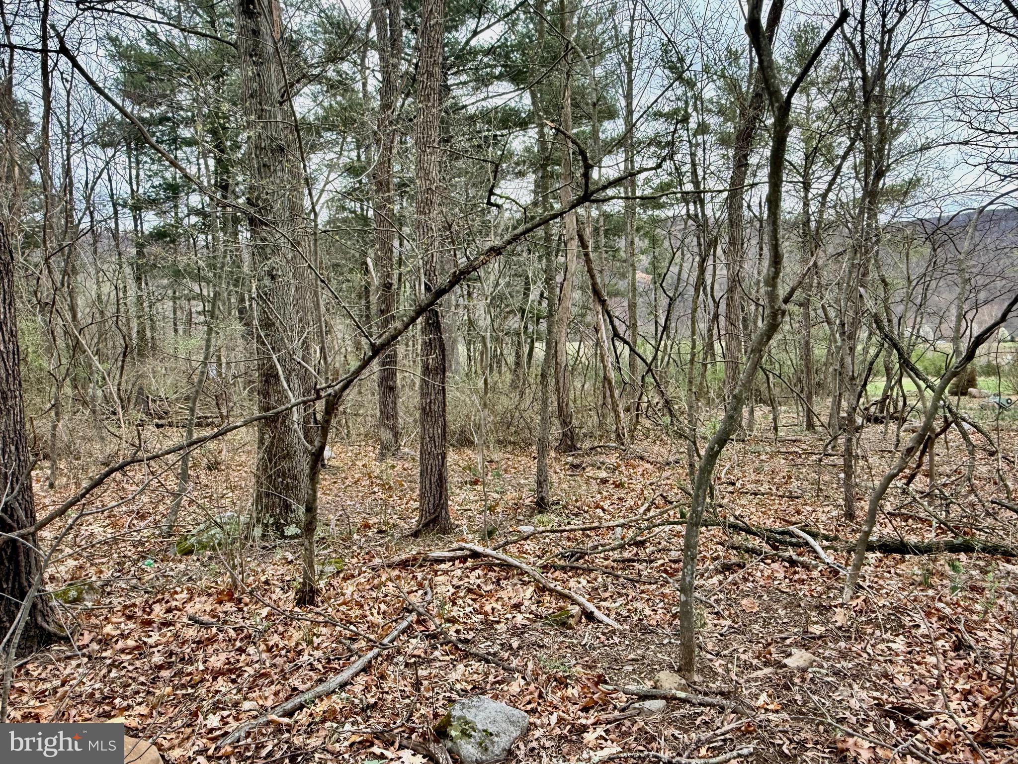 TIMBERLAKE ESTATES - LOT 2