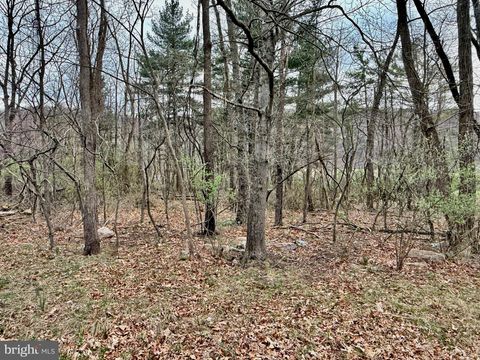 Vacant Land For Sale - Timberlake Estates - Lot 2<br/> NEW CREEK, WV 26743