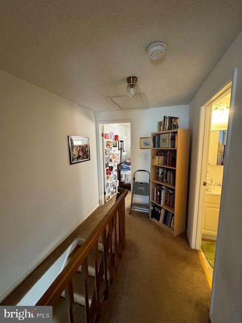 LEISHEAR VILLAGE - Residential Lease