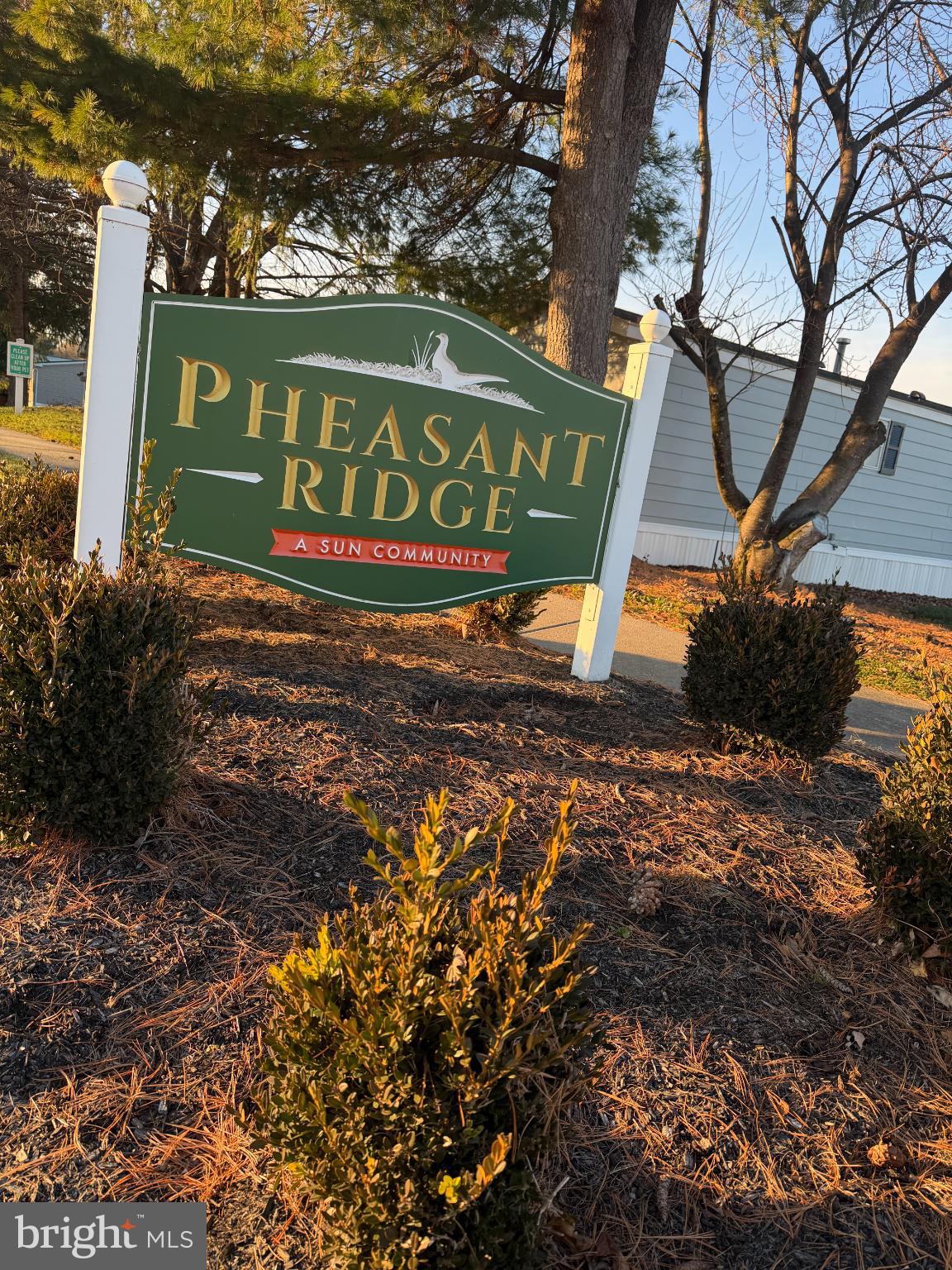 PHEASANT RIDGE - Residential